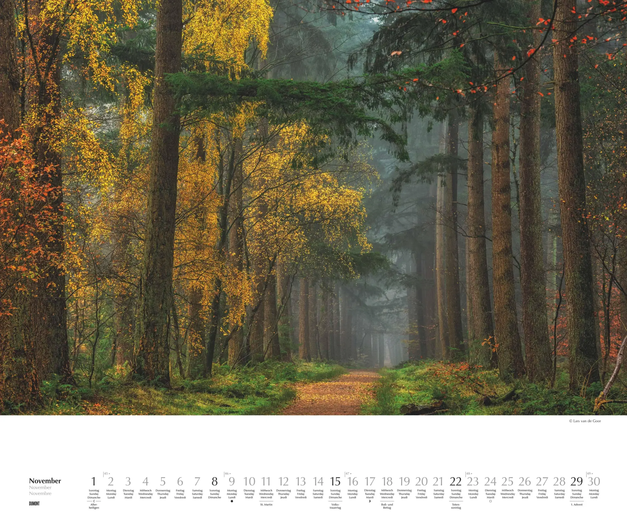 Bild: 4069095007505 | Waldspaziergang 2026 - Fotokunst-Kalender - Querformat 60 x 50 cm -...
