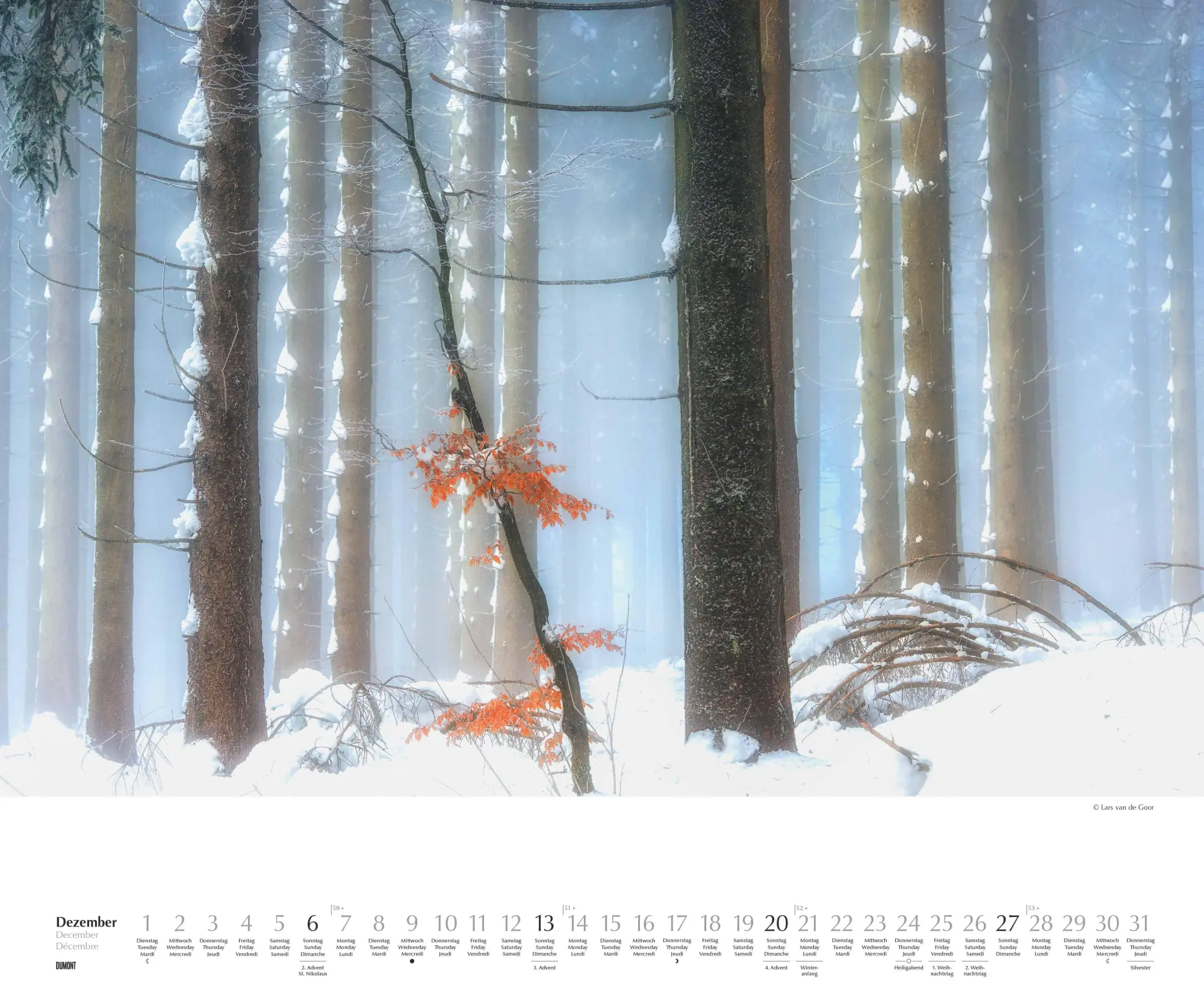 Bild: 4069095007505 | Waldspaziergang 2026 - Fotokunst-Kalender - Querformat 60 x 50 cm -...
