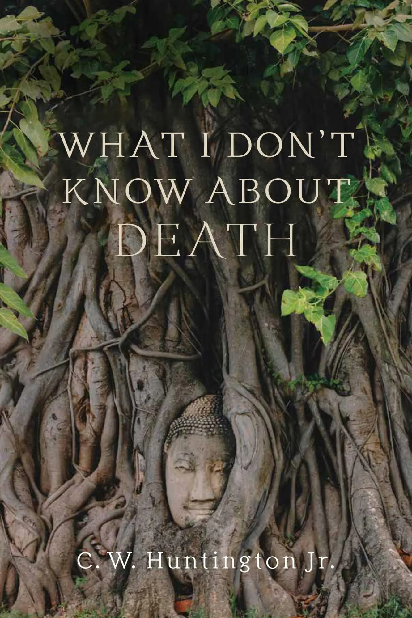 Cover: 9781614297505 | What I Don't Know about Death | Reflections on Buddhism and Mortality