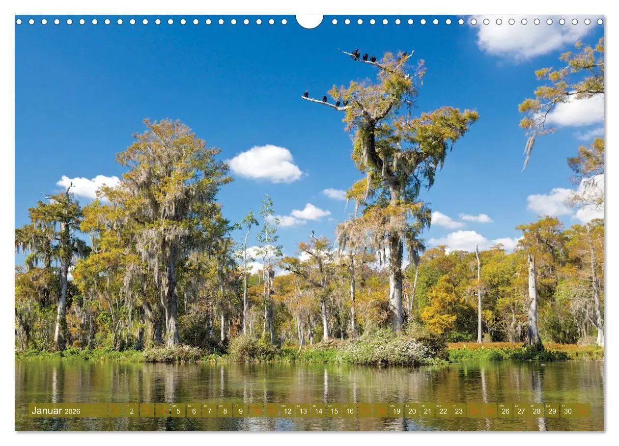 Bild: 9783457827505 | GEOclick calendar: Florida (Wandkalender 2026 DIN A3 quer),...
