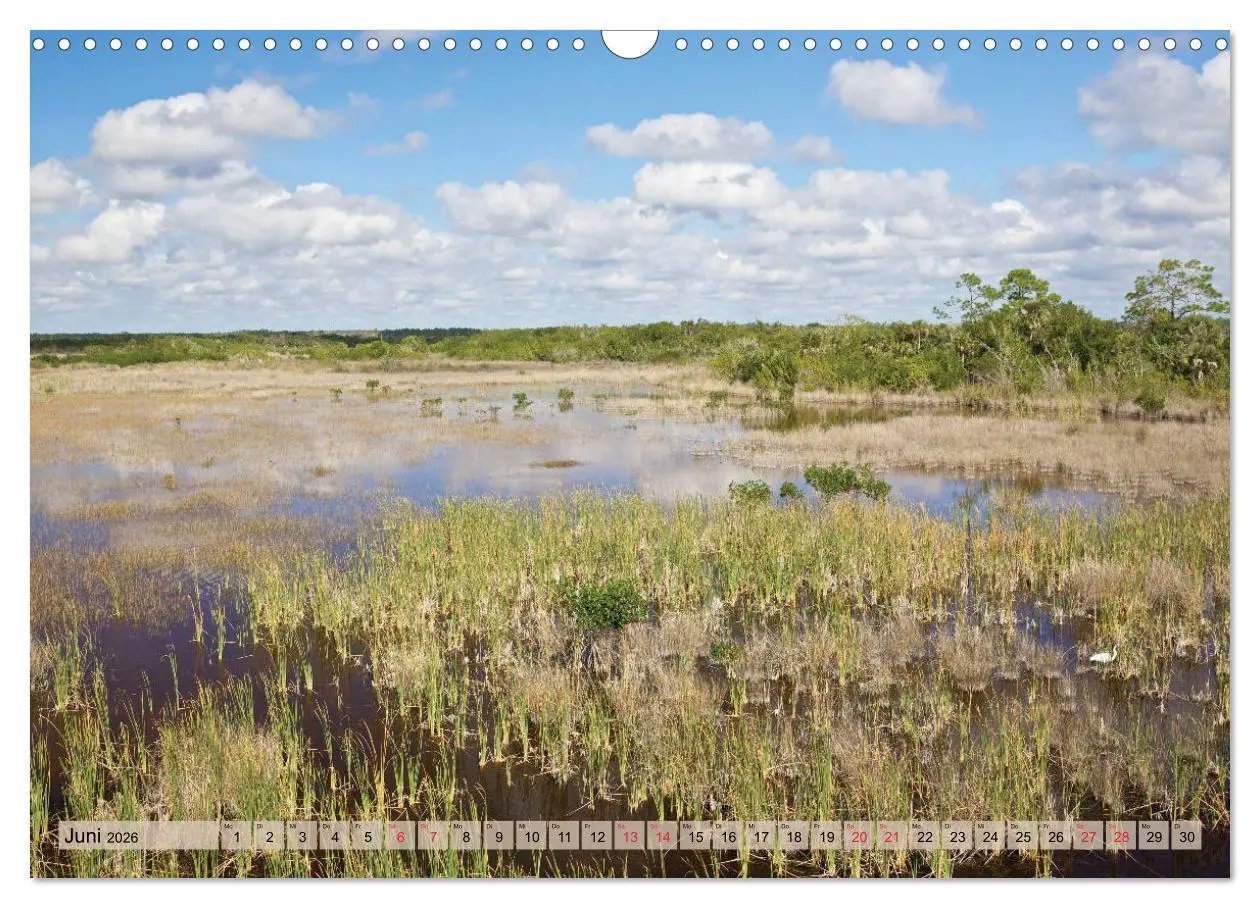 Bild: 9783457827505 | GEOclick calendar: Florida (Wandkalender 2026 DIN A3 quer),...