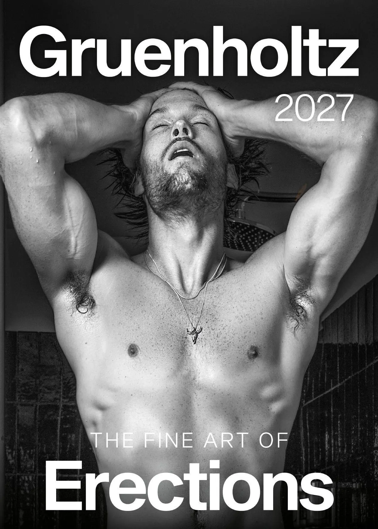 Cover: 9783959857505 | The Fine Art of Erections 2027 | Kalender 2027 | Gruenholtz | Kalender