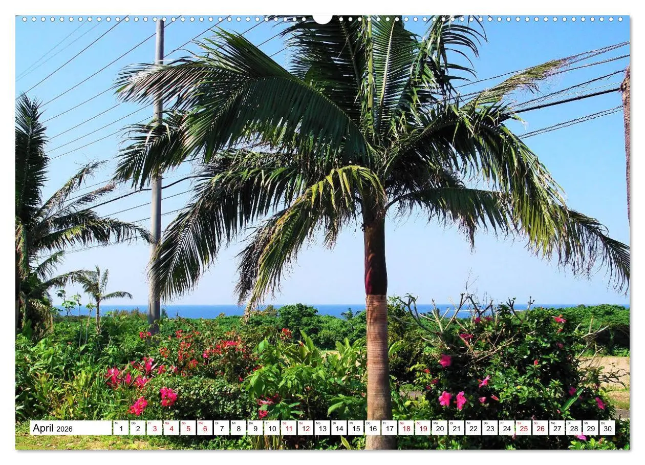 Bild: 9783457677605 | Okinawa - Subtropische Inselwelt im Süden Japans (Wandkalender 2026...