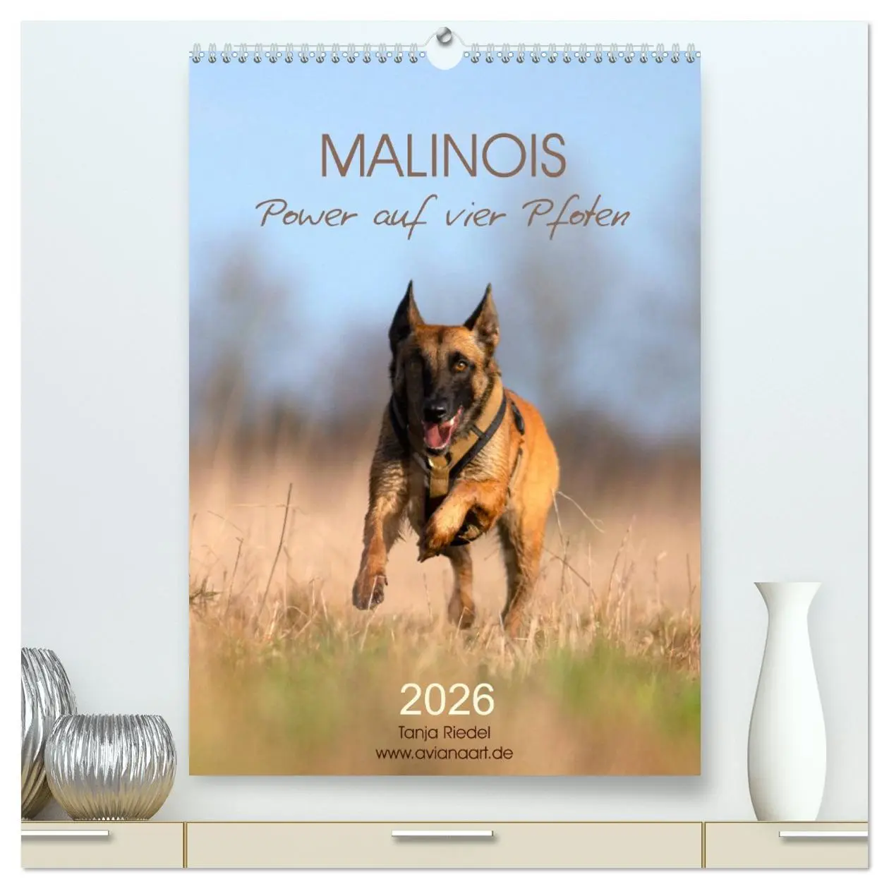 Cover: 9783516377705 | Malinois Power auf vier Pfoten (hochwertiger Premium Wandkalender...