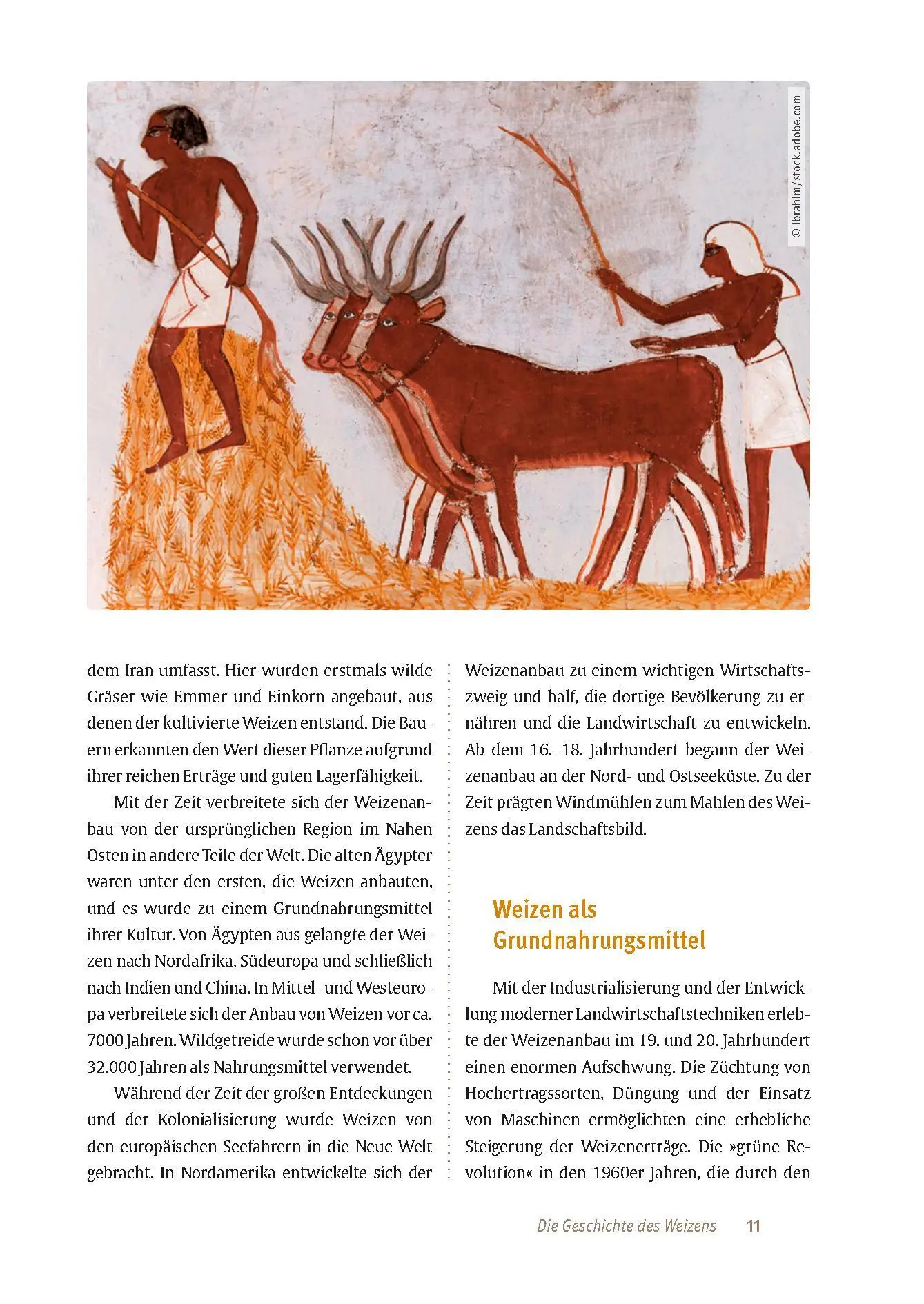 Bild: 9783432117805 | Expertenwissen: Zöliakie | Markus Escher | Taschenbuch | 128 S. | 2024