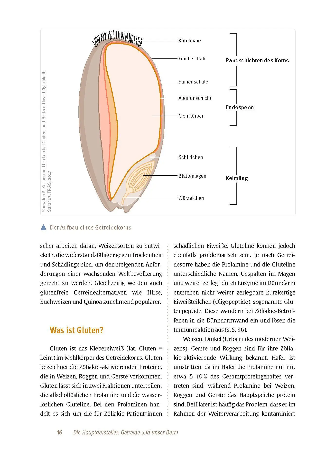 Bild: 9783432117805 | Expertenwissen: Zöliakie | Markus Escher | Taschenbuch | 128 S. | 2024