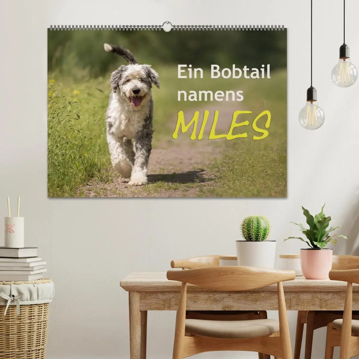 Bild: 9783516057805 | Ein Bobtail namens Miles (Wandkalender 2026 DIN A2 quer), CALVENDO...