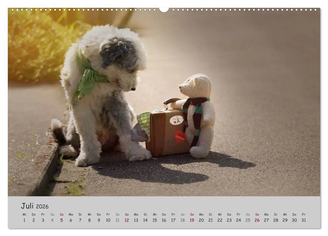 Bild: 9783516057805 | Ein Bobtail namens Miles (Wandkalender 2026 DIN A2 quer), CALVENDO...