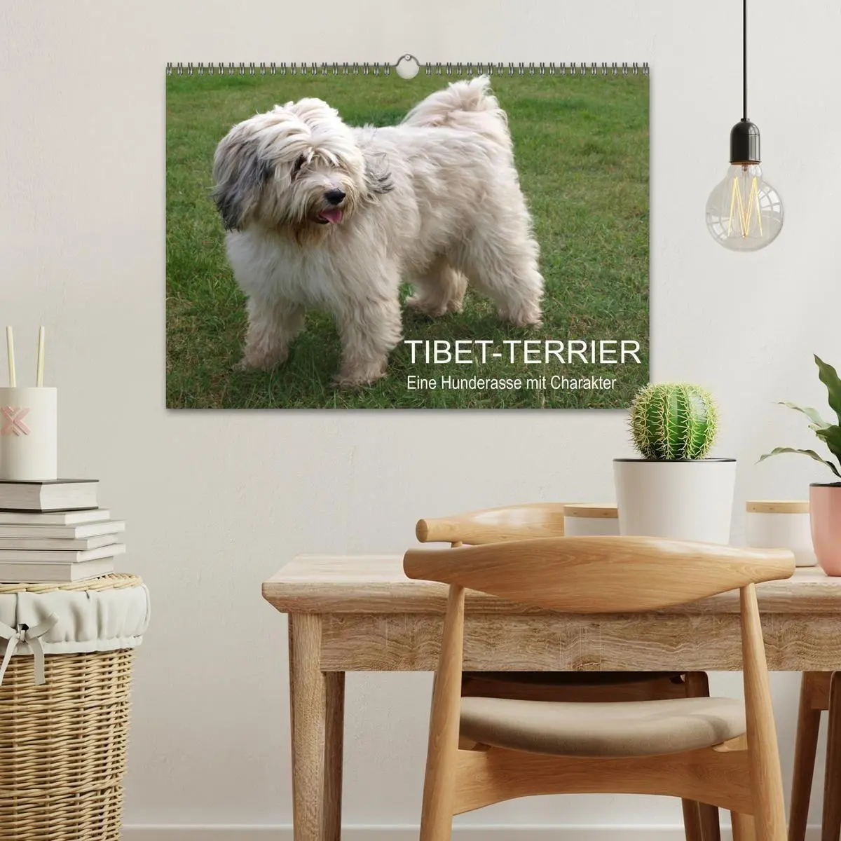 Bild: 9783516817805 | Tibet-Terrier - Eine Hunderasse mit Charakter (Wandkalender 2027...