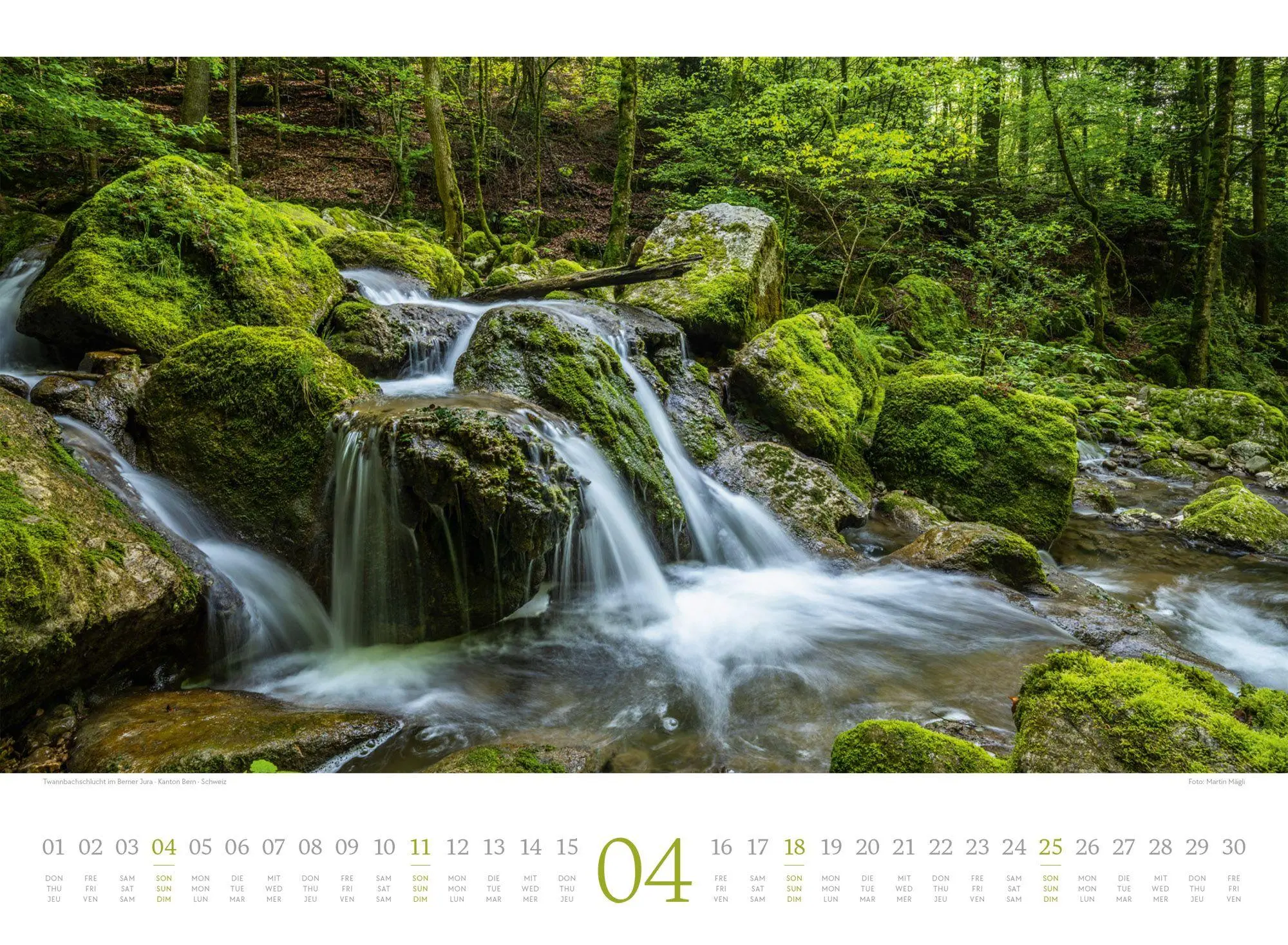 Bild: 9783838427805 | Harmonie Kalender 2027 | Ackermann Kunstverlag GmbH | Kalender | 14 S.