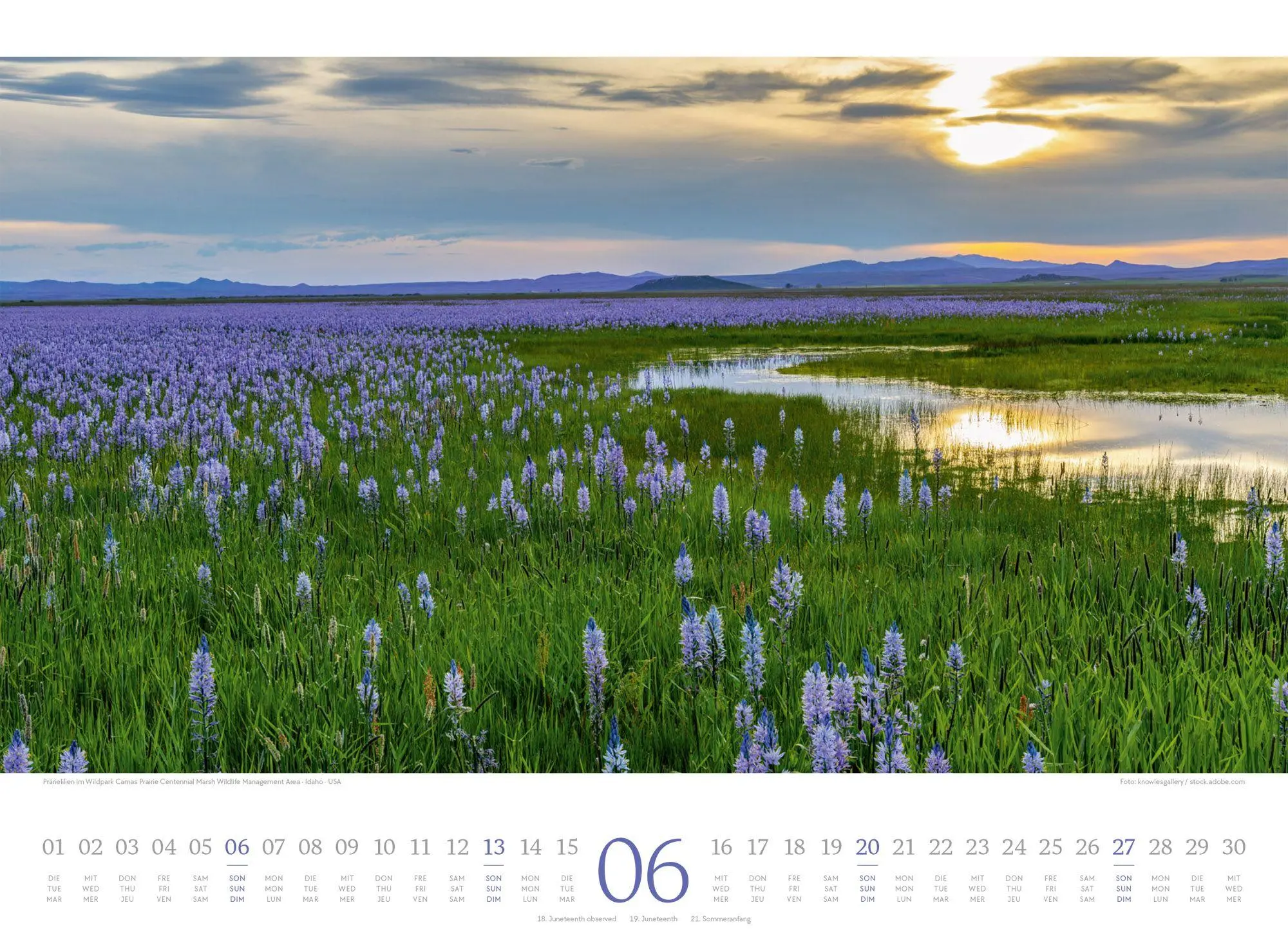 Bild: 9783838427805 | Harmonie Kalender 2027 | Ackermann Kunstverlag GmbH | Kalender | 14 S.