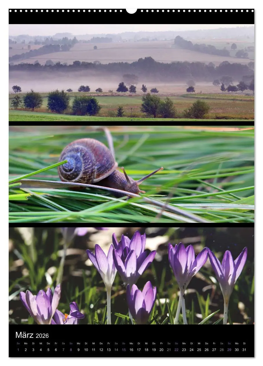 Bild: 9783516357905 | Bezaubernde Farben der Natur (Wandkalender 2026 DIN A2 hoch),...