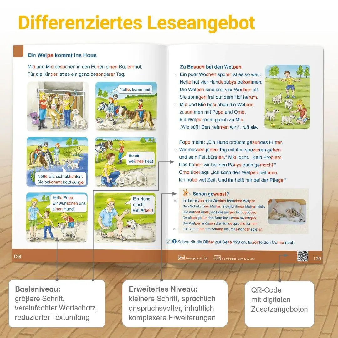 Bild: 9783619247905 | ABC der Tiere 2 Neubearbeitung - Lesebuch | Klaus Kuhn (u. a.) | Buch