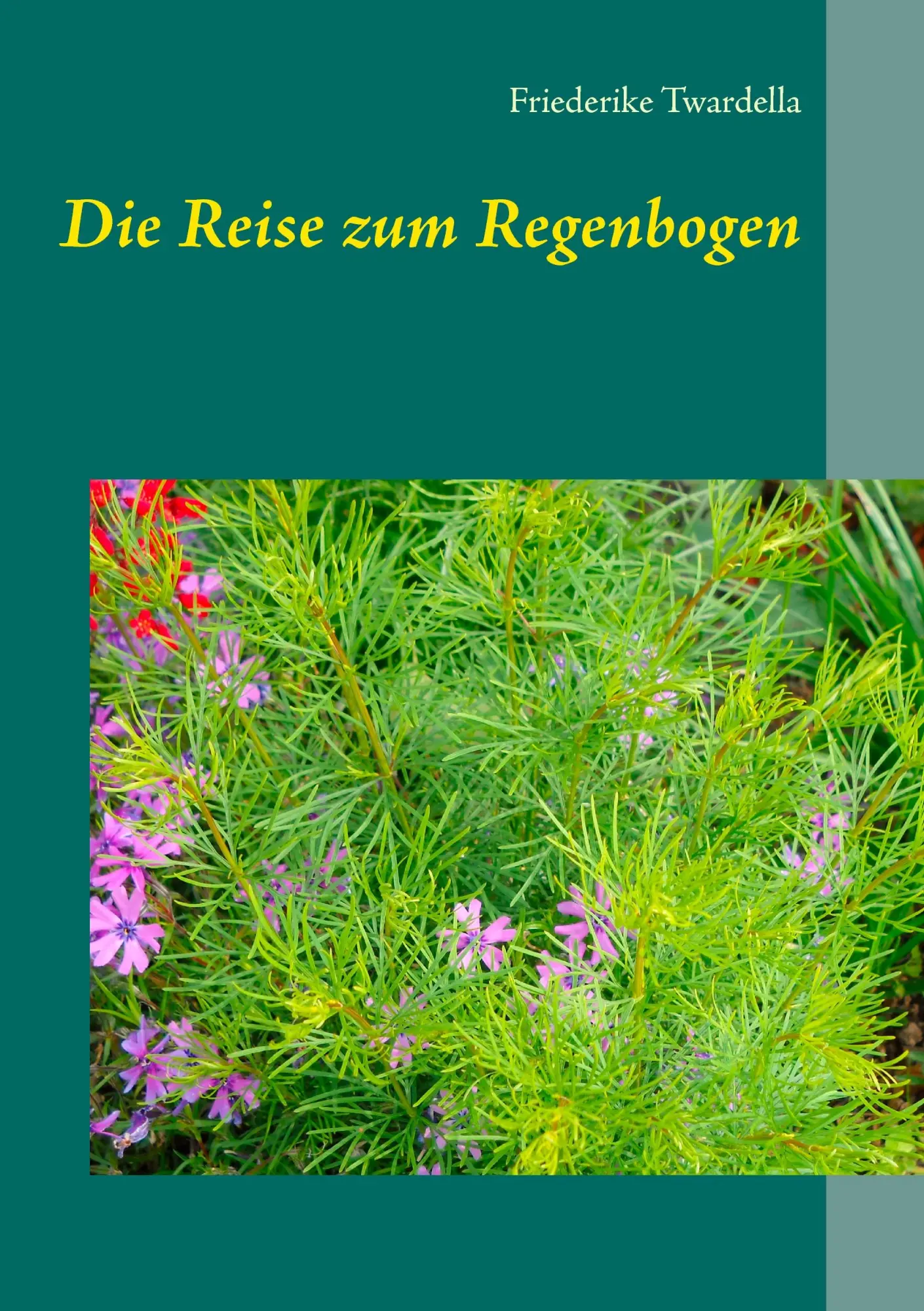 Cover: 9783842377905 | Die Reise zum Regenbogen | Friederike Twardella | Taschenbuch | 120 S.