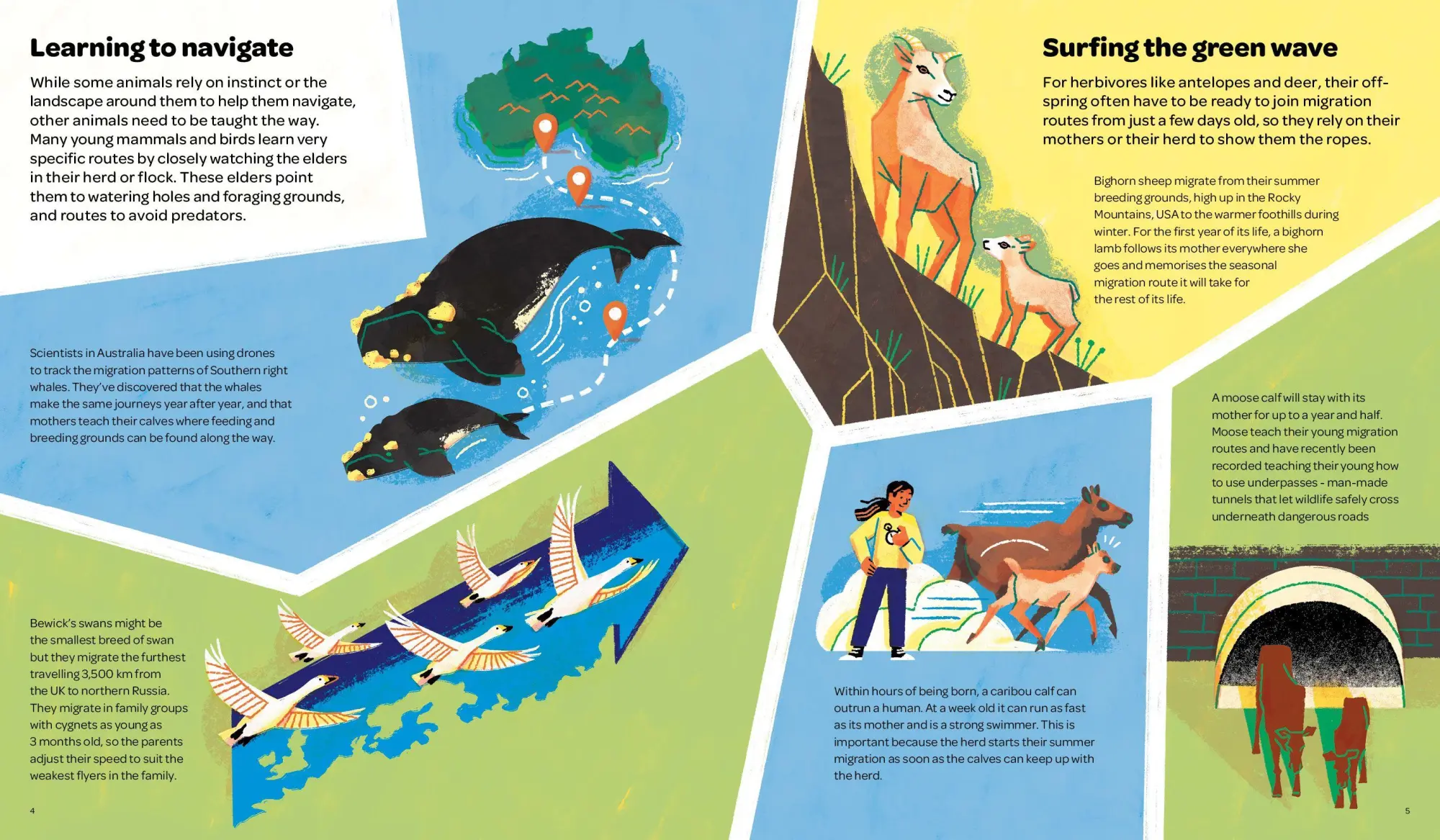 Bild: 9783967047905 | Keep on Moving | The Great Animal Migrations Large and Small | Buch