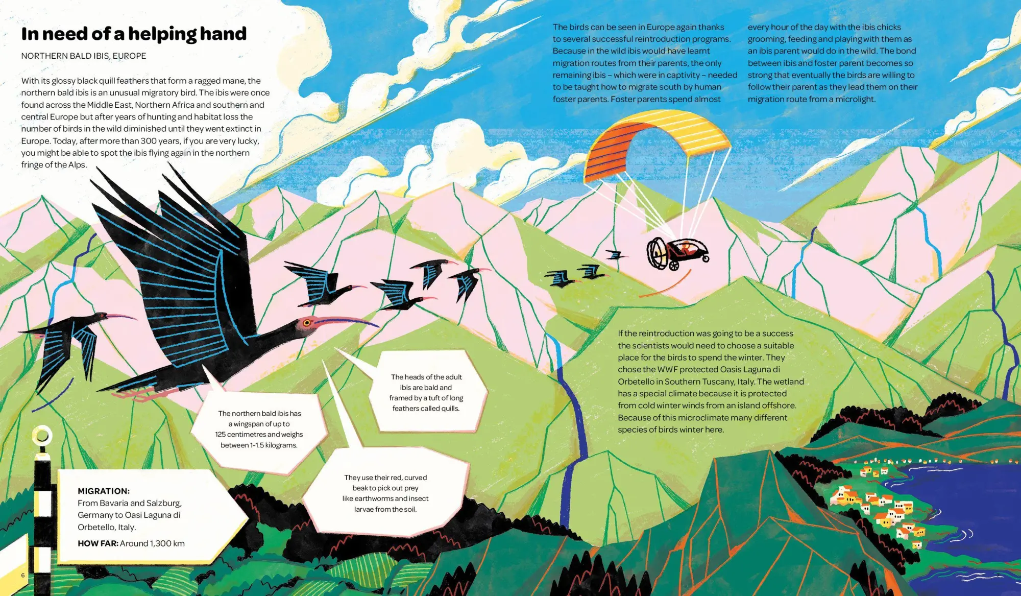 Bild: 9783967047905 | Keep on Moving | The Great Animal Migrations Large and Small | Buch