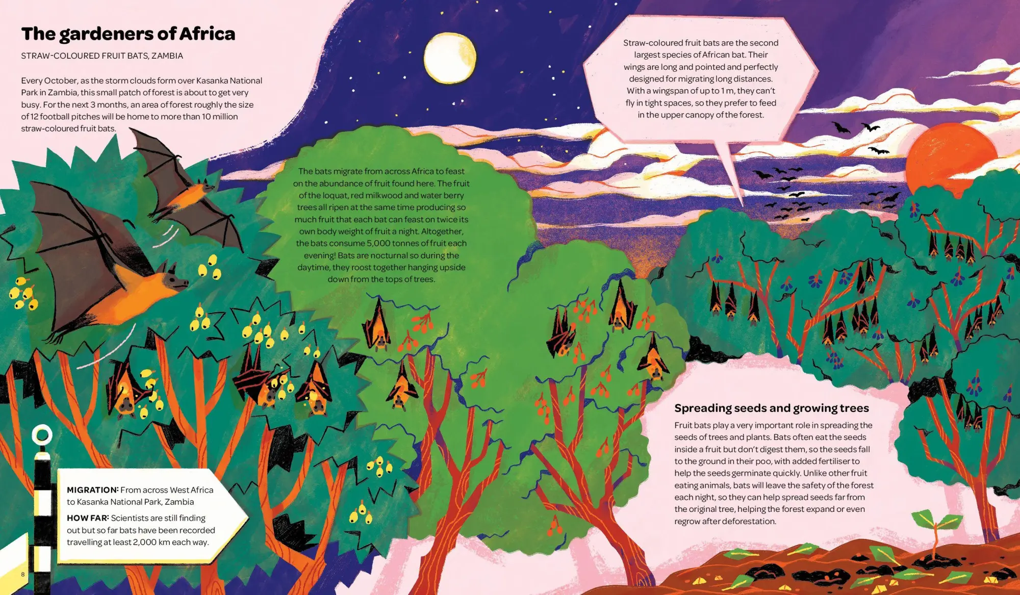 Bild: 9783967047905 | Keep on Moving | The Great Animal Migrations Large and Small | Buch