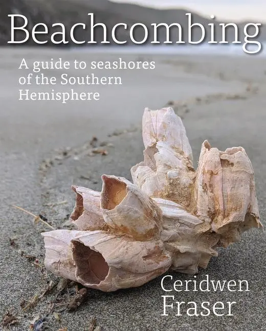Cover: 9781990048005 | Beachcombing | A Guide to Seashores of the Southern Hemisphere | Buch