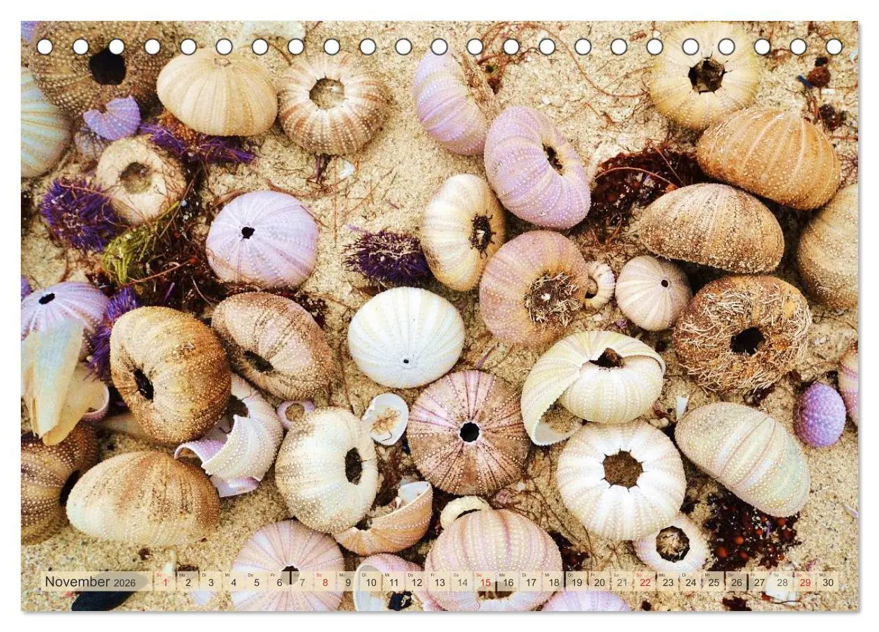 Bild: 9783516238105 | Träum dich nach Mauritius (Tischkalender 2026 DIN A5 quer),...