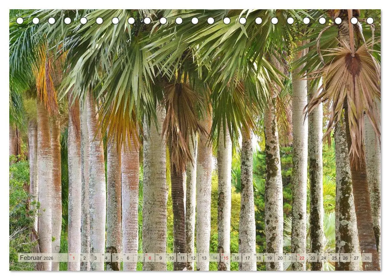 Bild: 9783516238105 | Träum dich nach Mauritius (Tischkalender 2026 DIN A5 quer),...