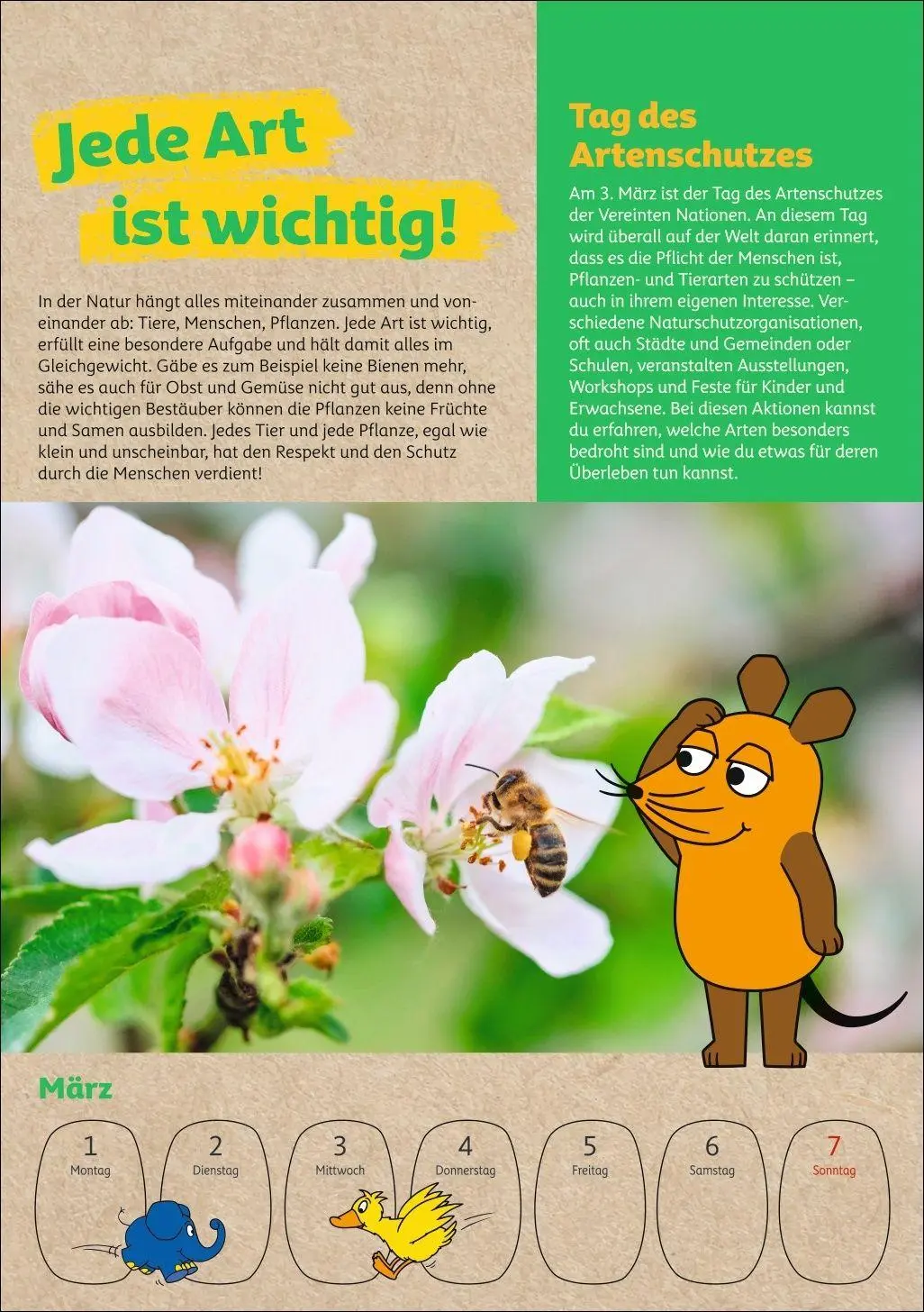 Bild: 9783840038105 | Schütze die Erde mit der Maus Kalender 2027 - Wochenplaner | Ulrike