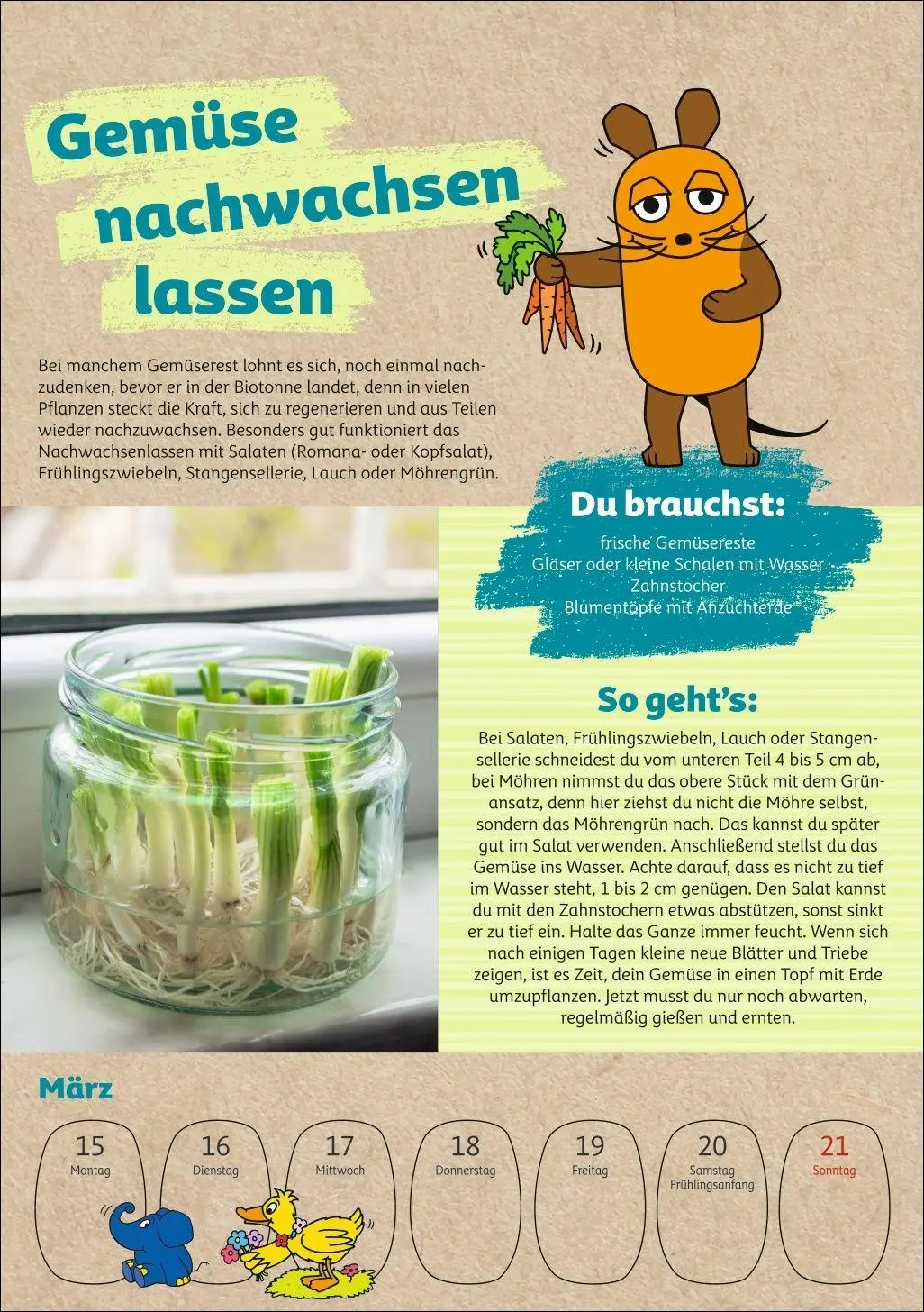 Bild: 9783840038105 | Schütze die Erde mit der Maus Kalender 2027 - Wochenplaner | Ulrike