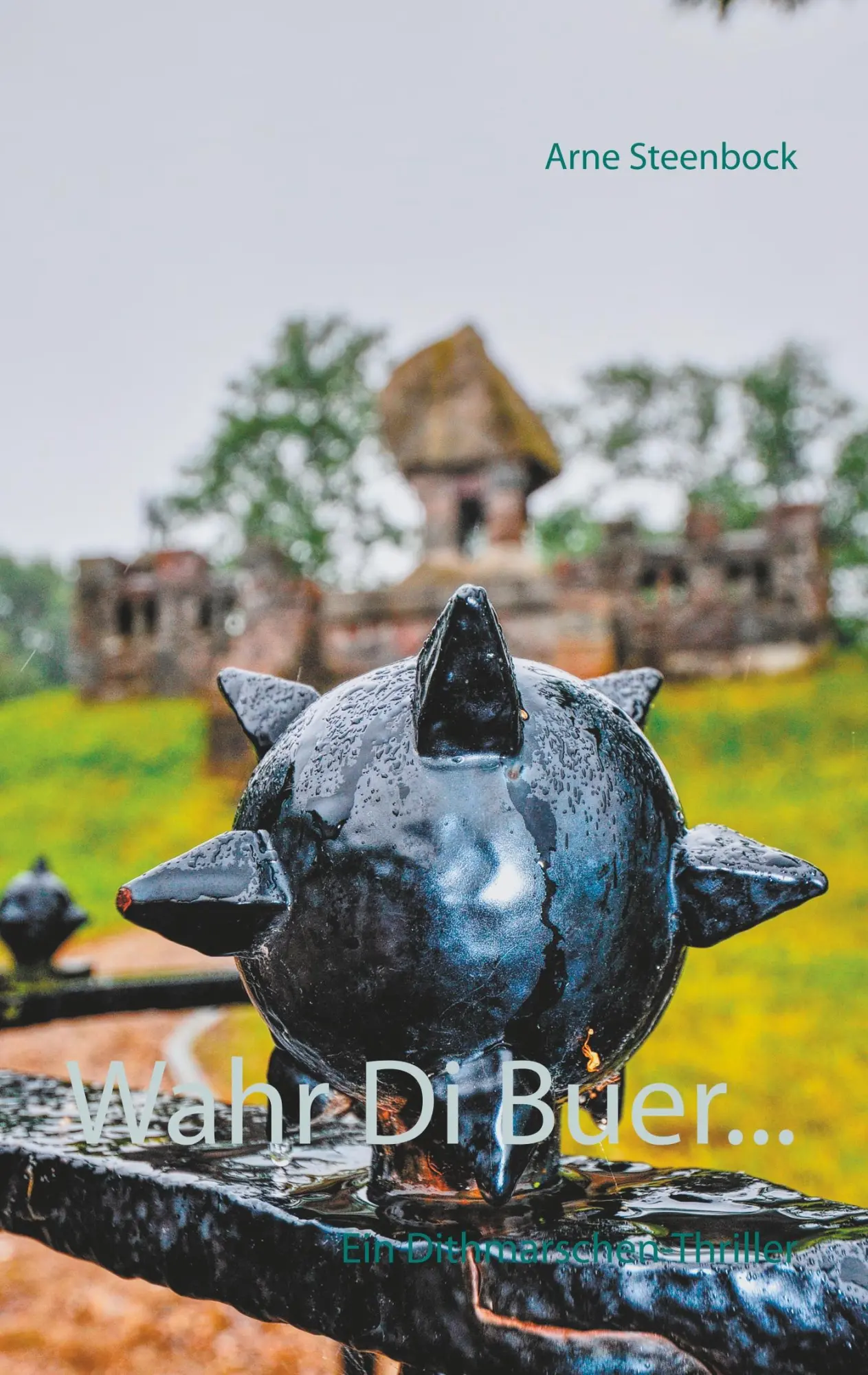 Cover: 9783740728205 | Wahr Di Buer... | Arne Steenbock | Taschenbuch | Paperback | 308 S.