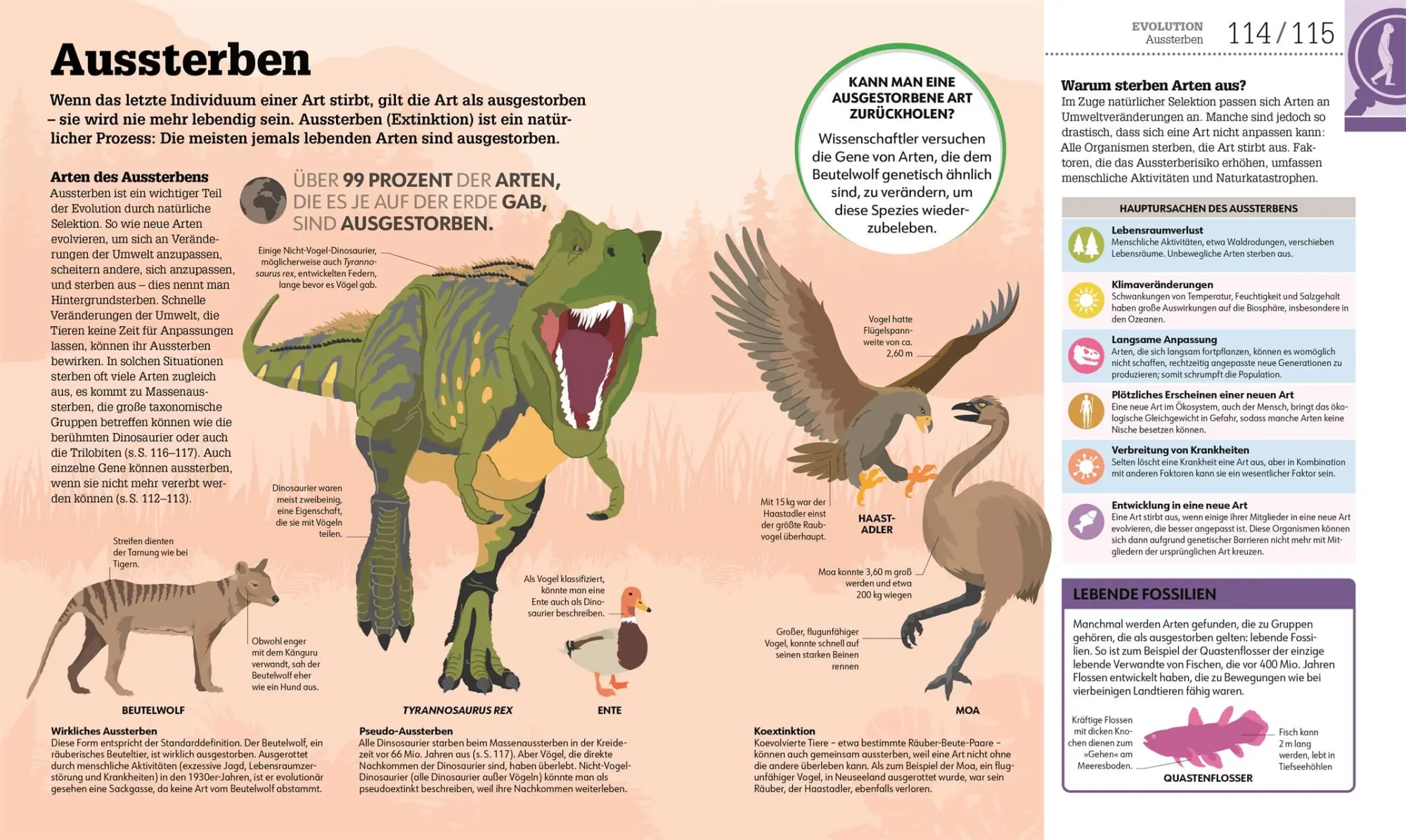 Bild: 9783831048205 | #dkinfografik. Biologie einfach erklärt | Jack Challoner (u. a.)