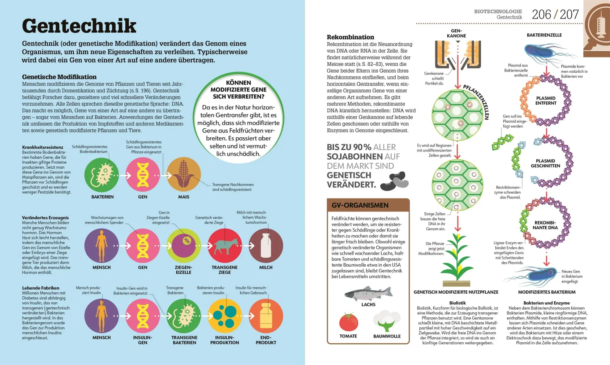 Bild: 9783831048205 | #dkinfografik. Biologie einfach erklärt | Jack Challoner (u. a.)