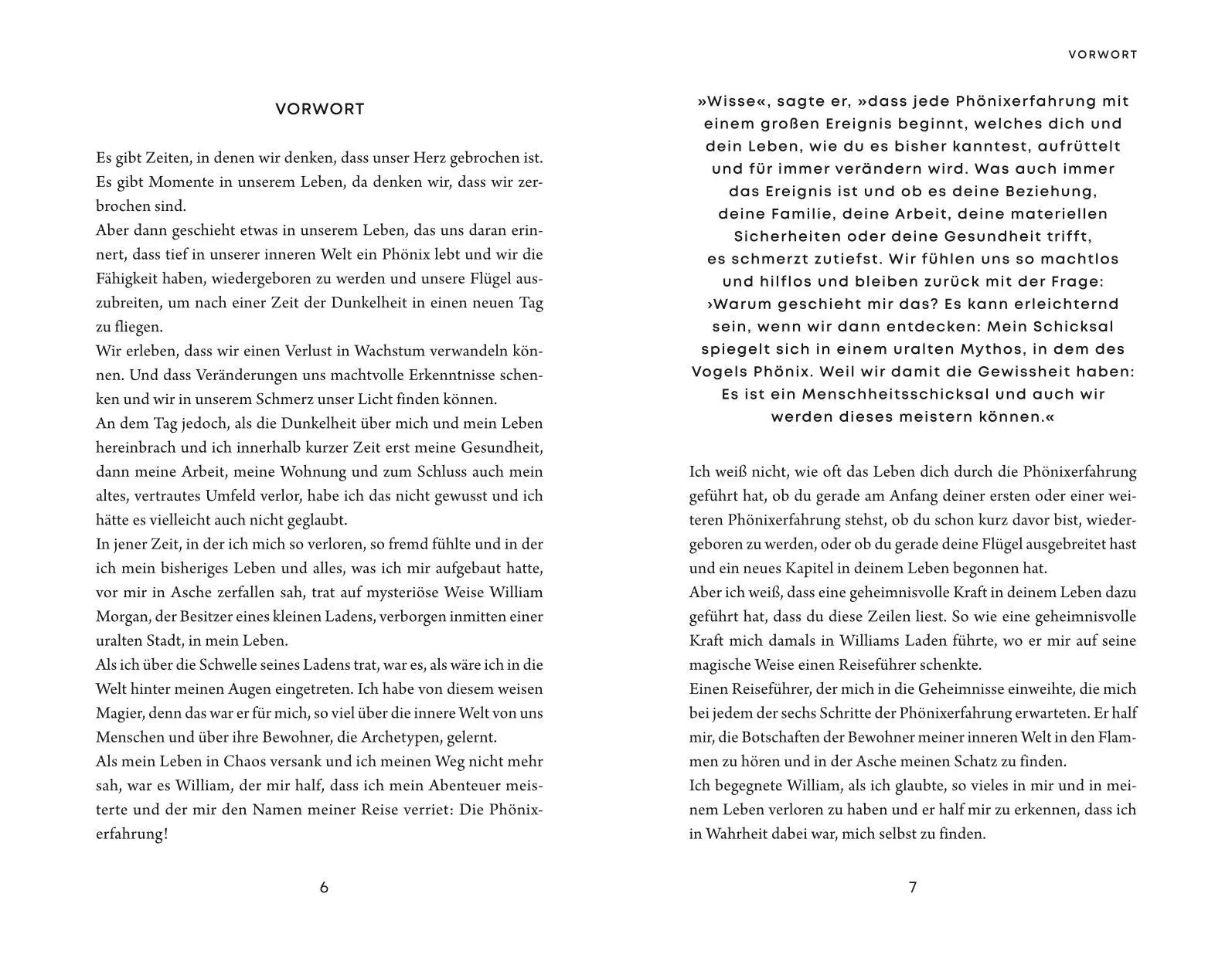 Bild: 9783833888205 | Die Phönixerfahrung | Anne Vonjahr | Buch | Lebenshilfe (Unum) | 2023