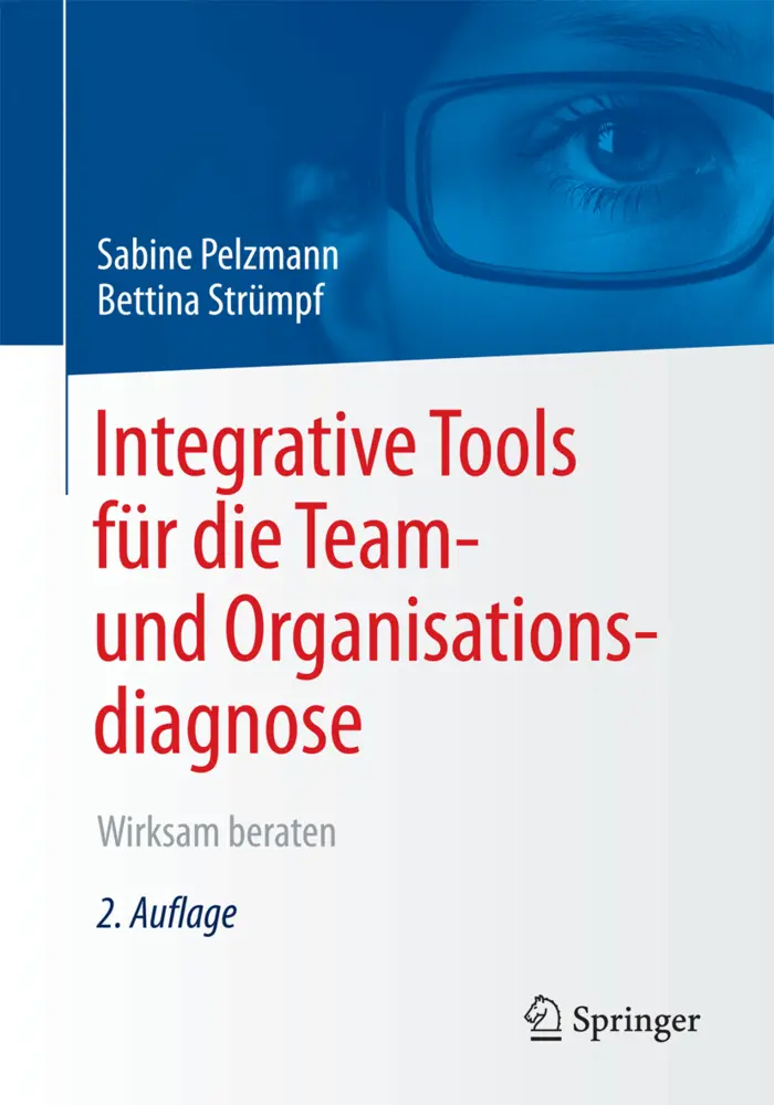 Cover: 9783658198305 | Integrative Tools für die Team- und Organisationsdiagnose | Buch | x