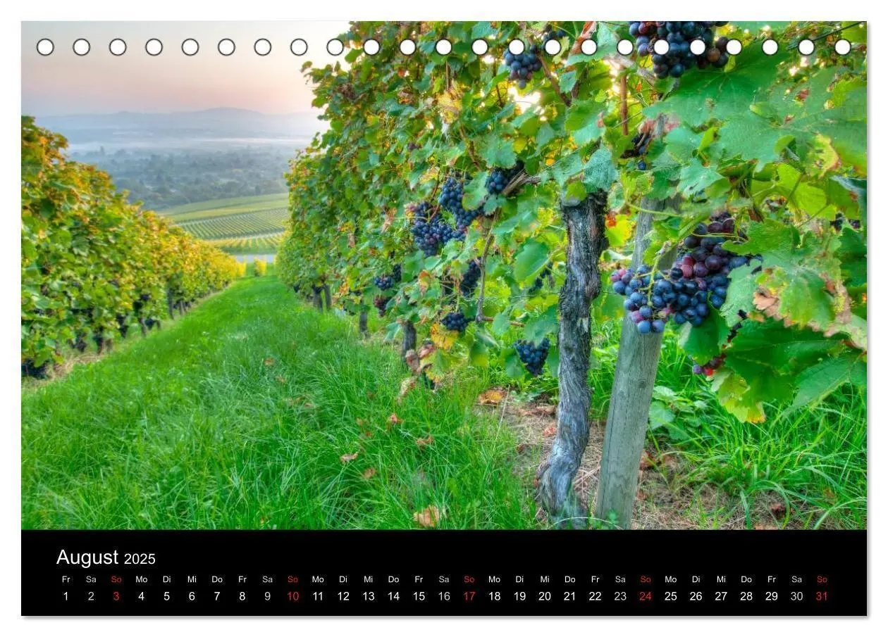 Bild: 9783435718405 | Weinberge im Remstal (Tischkalender 2025 DIN A5 quer), CALVENDO...