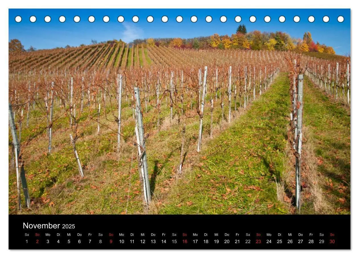 Bild: 9783435718405 | Weinberge im Remstal (Tischkalender 2025 DIN A5 quer), CALVENDO...