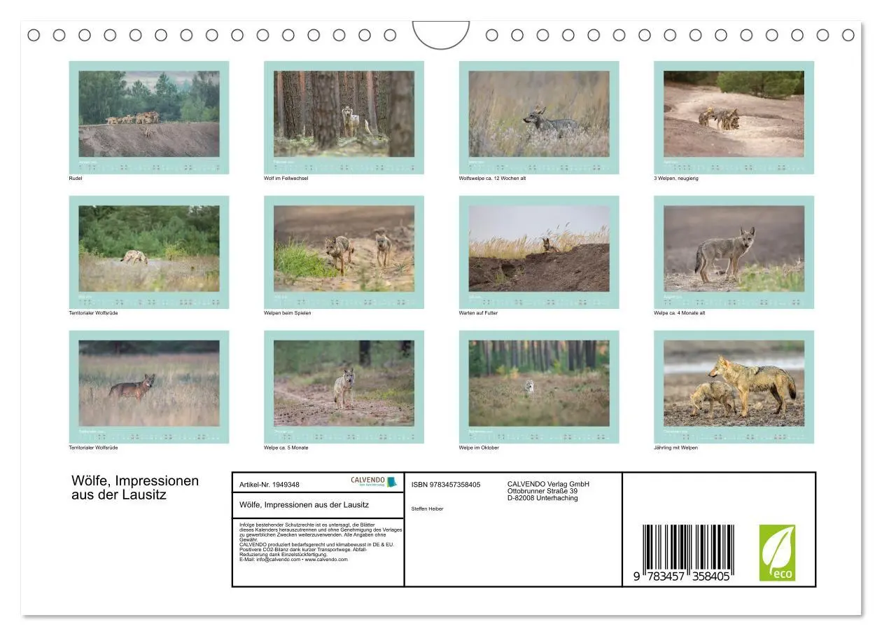 Bild: 9783457358405 | Wölfe, Impressionen aus der Lausitz (Wandkalender 2026 DIN A4...