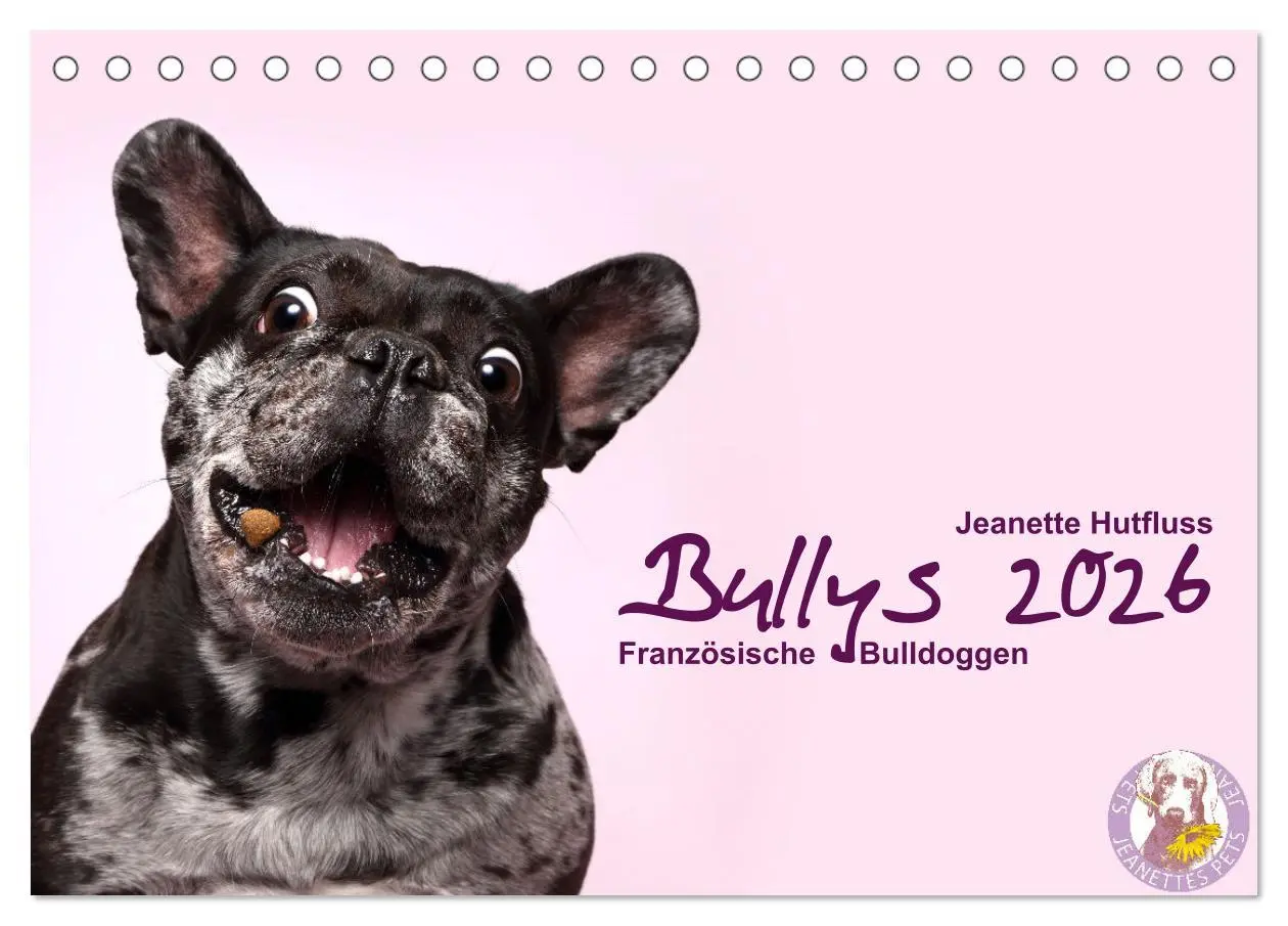 Cover: 9783457728505 | Bullys - Französische Bulldoggen 2026 (Tischkalender 2026 DIN A5...
