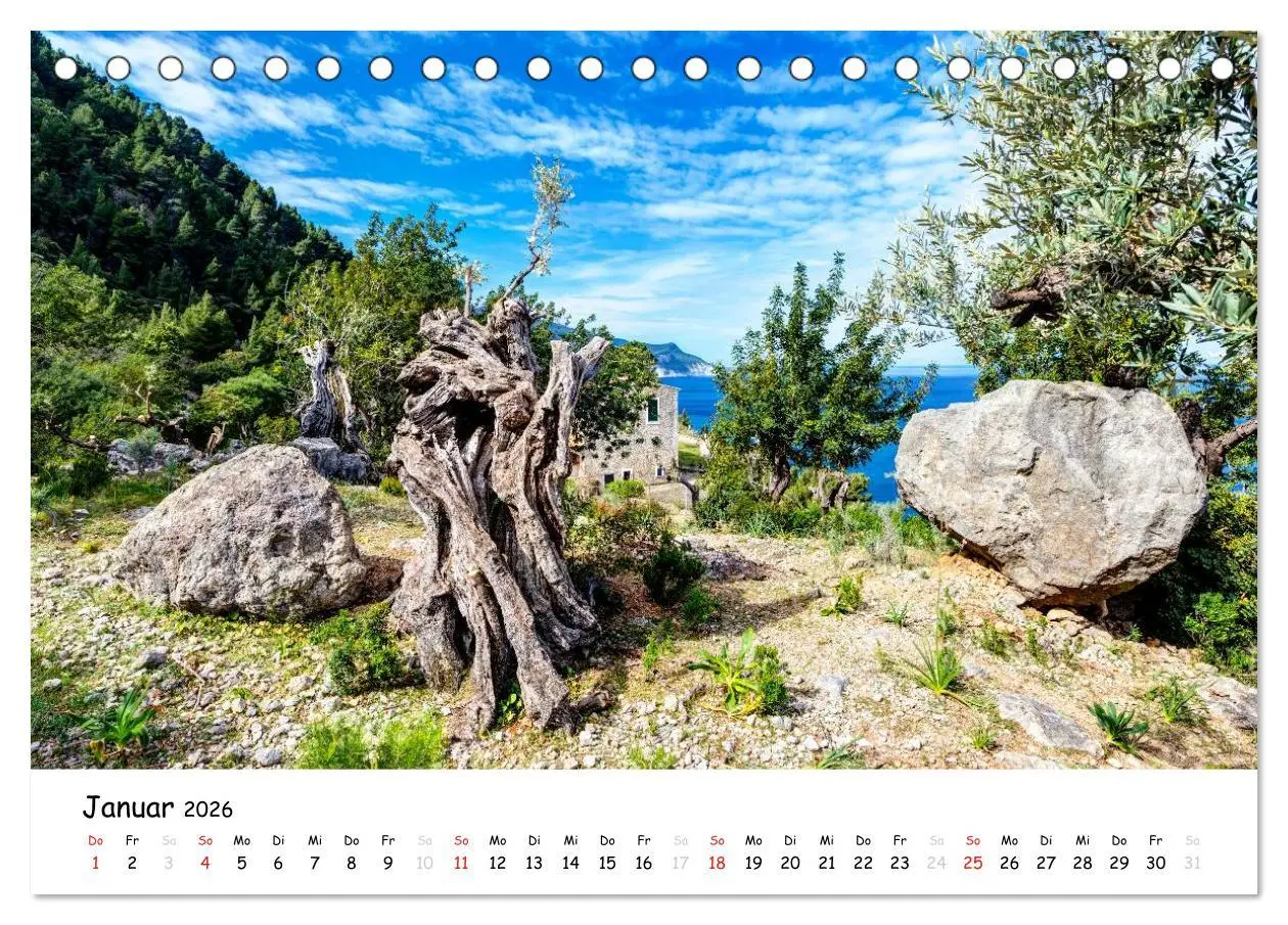 Bild: 9783516058505 | Wildes und romantisches Mallorca (Tischkalender 2026 DIN A5 quer),...