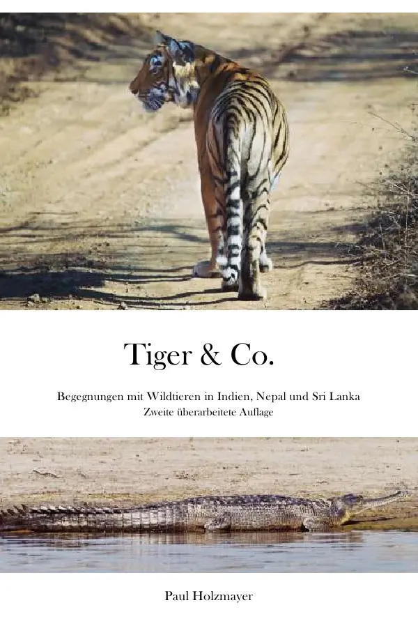 Cover: 9783741858505 | Tiger &amp; Co. | Paul Holzmayer | Taschenbuch | 224 S. | Deutsch | 2016