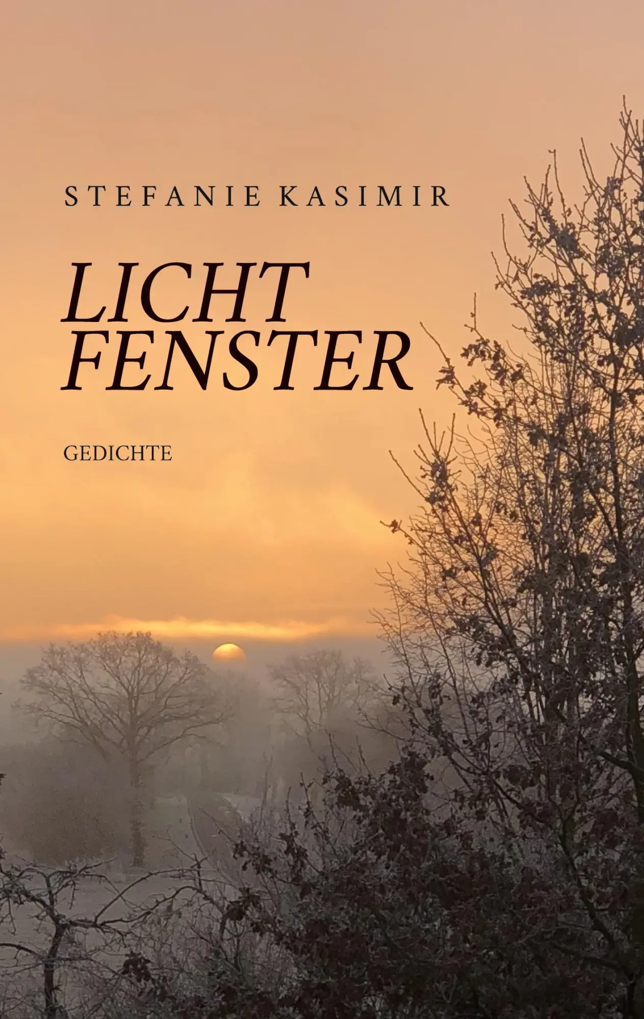 Cover: 9783769368505 | Lichtfenster | Stefanie Kasimir | Taschenbuch | 62 S. | Deutsch | 2025