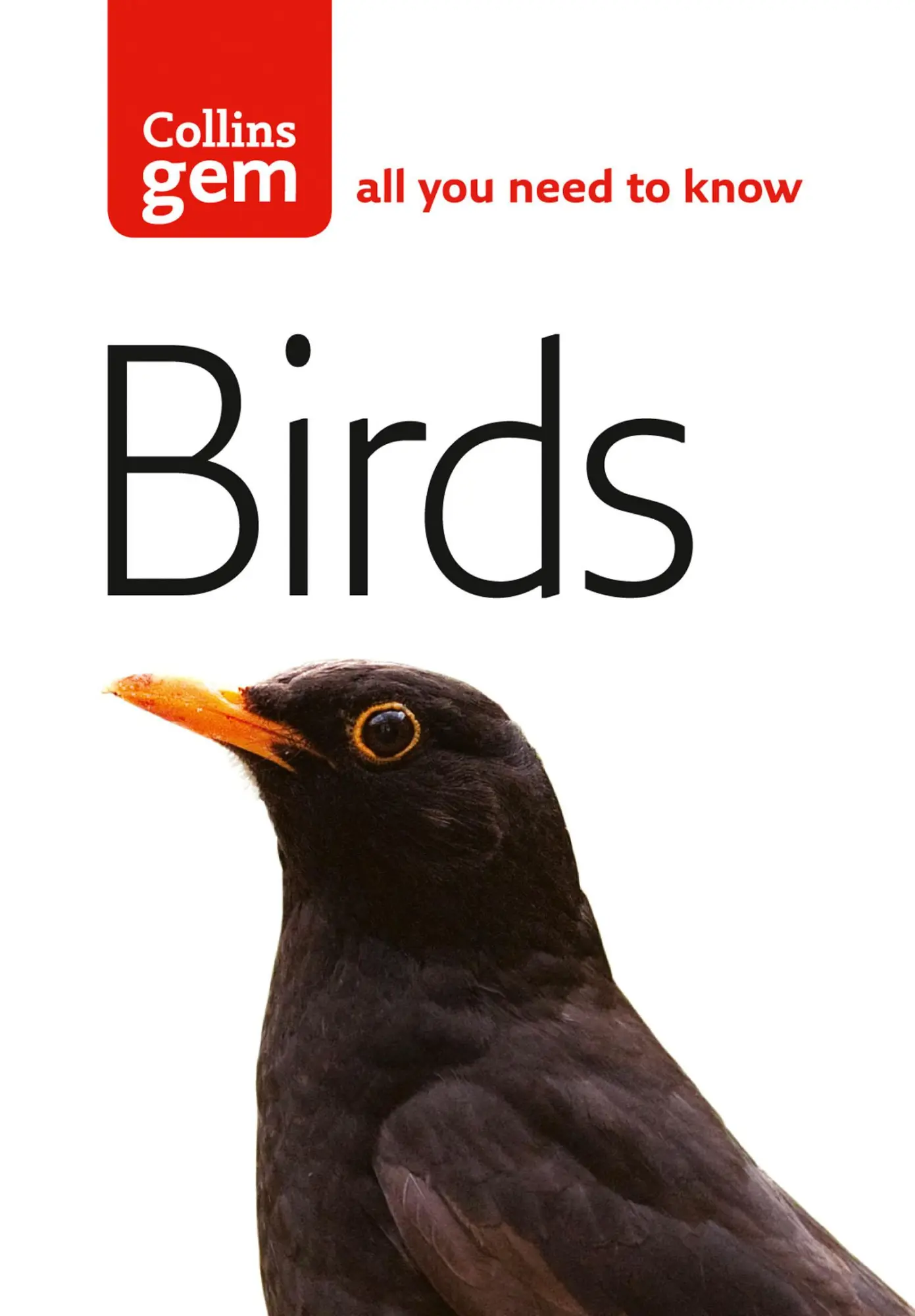Cover: 9780007178605 | Birds | Jim Flegg | Taschenbuch | Kartoniert / Broschiert | Englisch