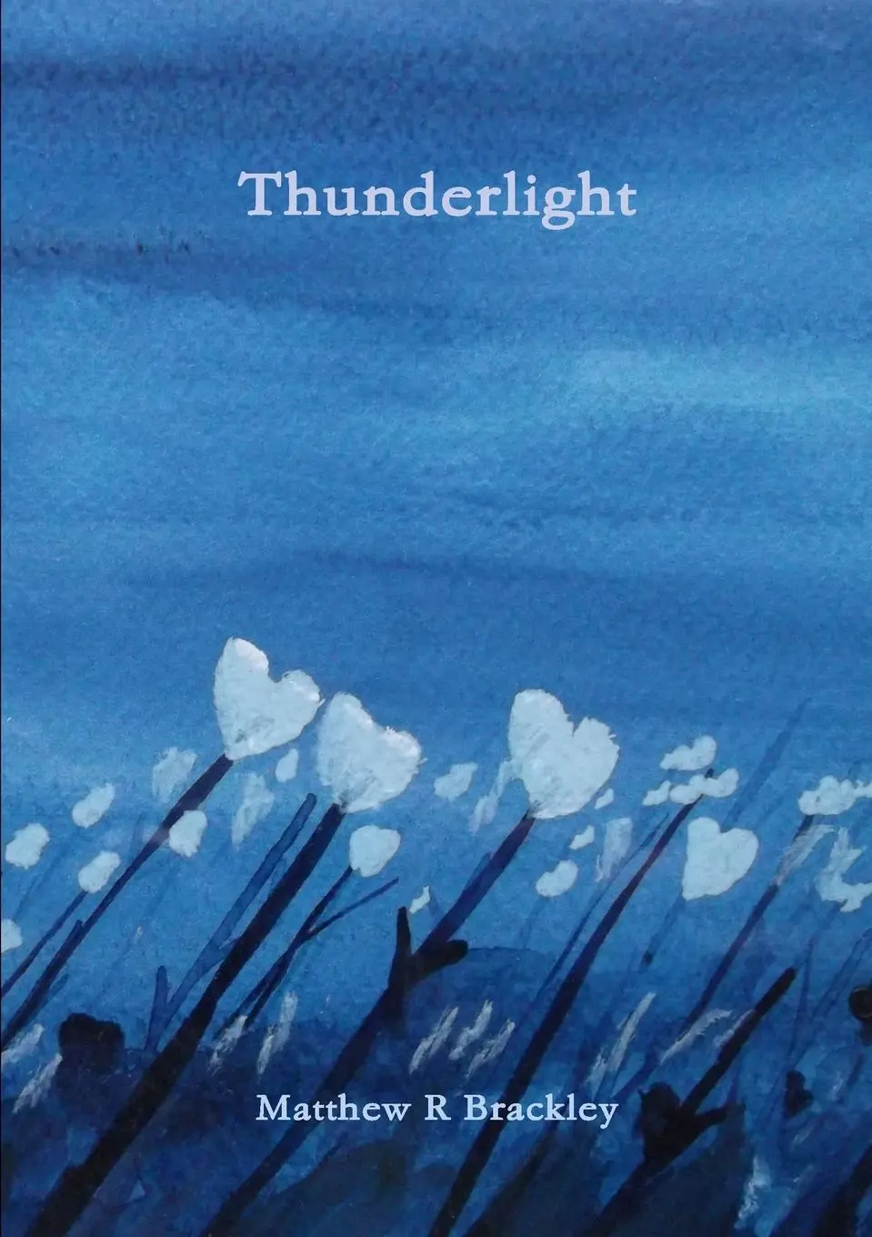 Cover: 9780244308605 | Thunderlight | Matthew R Brackley | Taschenbuch | Englisch | 2017