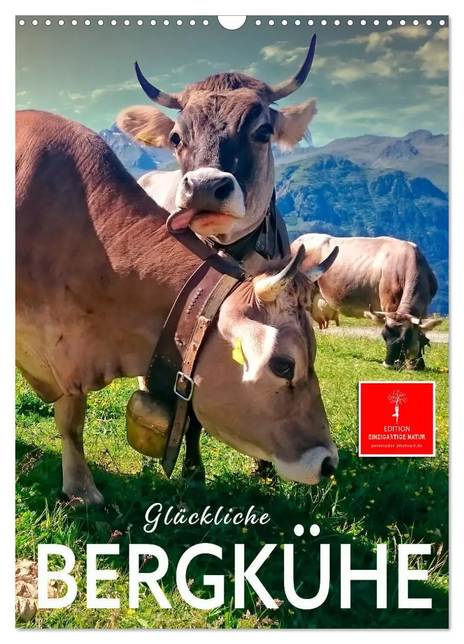 Cover: 9783516348705 | Glückliche Bergkühe (Wandkalender 2026 DIN A3 hoch), CALVENDO...