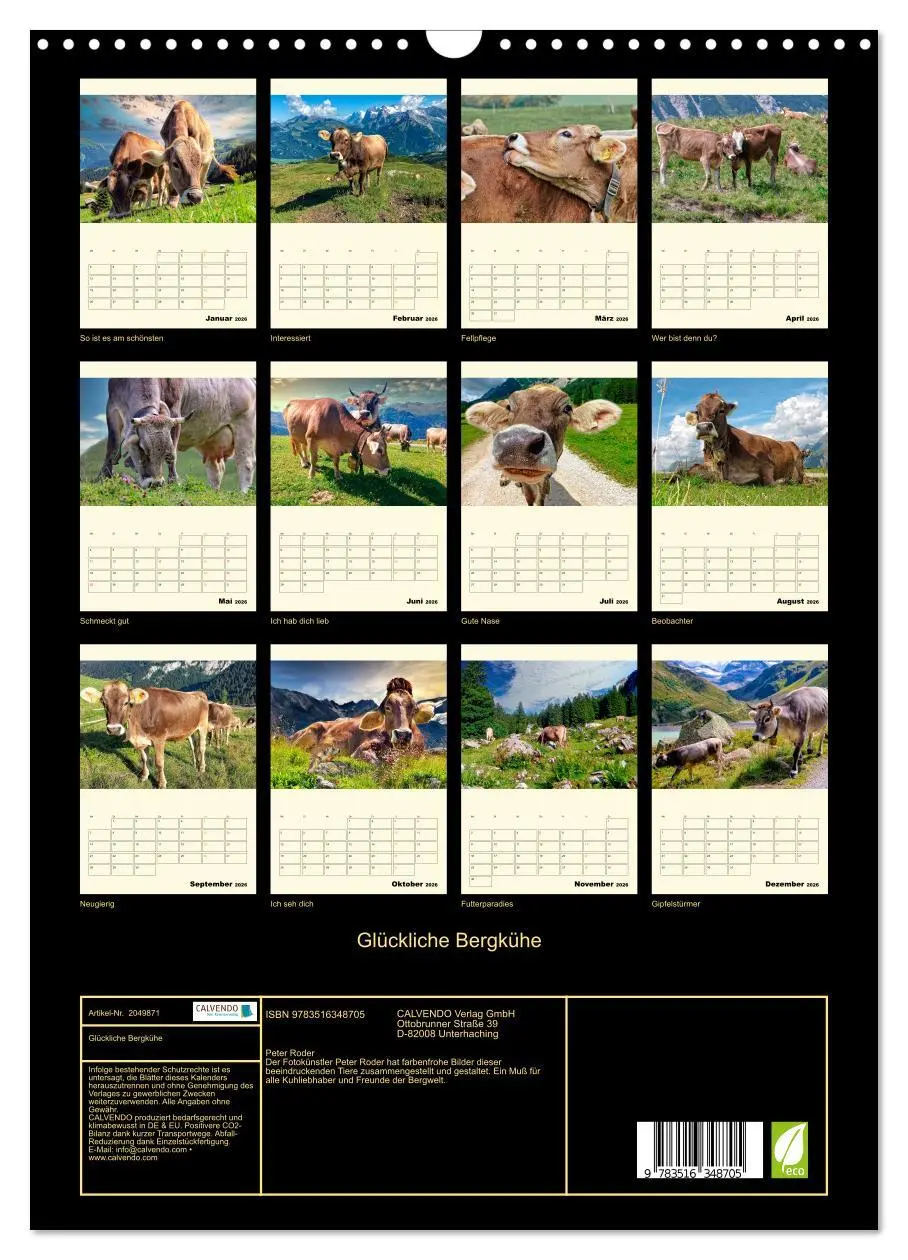 Bild: 9783516348705 | Glückliche Bergkühe (Wandkalender 2026 DIN A3 hoch), CALVENDO...