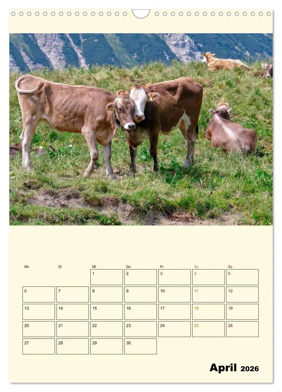 Bild: 9783516348705 | Glückliche Bergkühe (Wandkalender 2026 DIN A3 hoch), CALVENDO...