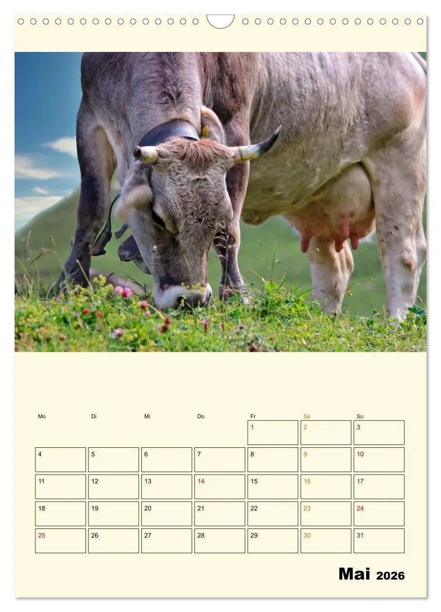 Bild: 9783516348705 | Glückliche Bergkühe (Wandkalender 2026 DIN A3 hoch), CALVENDO...