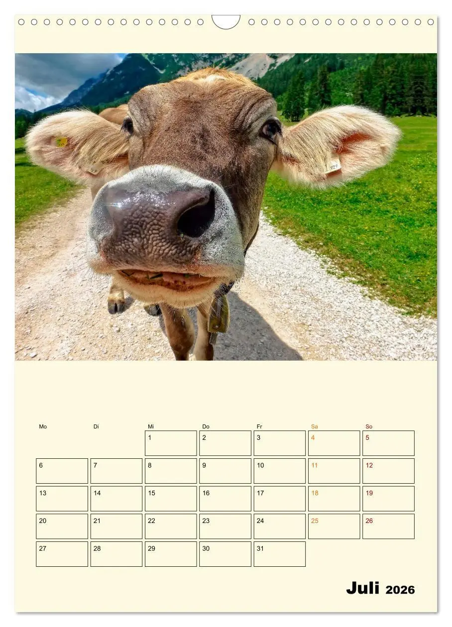 Bild: 9783516348705 | Glückliche Bergkühe (Wandkalender 2026 DIN A3 hoch), CALVENDO...