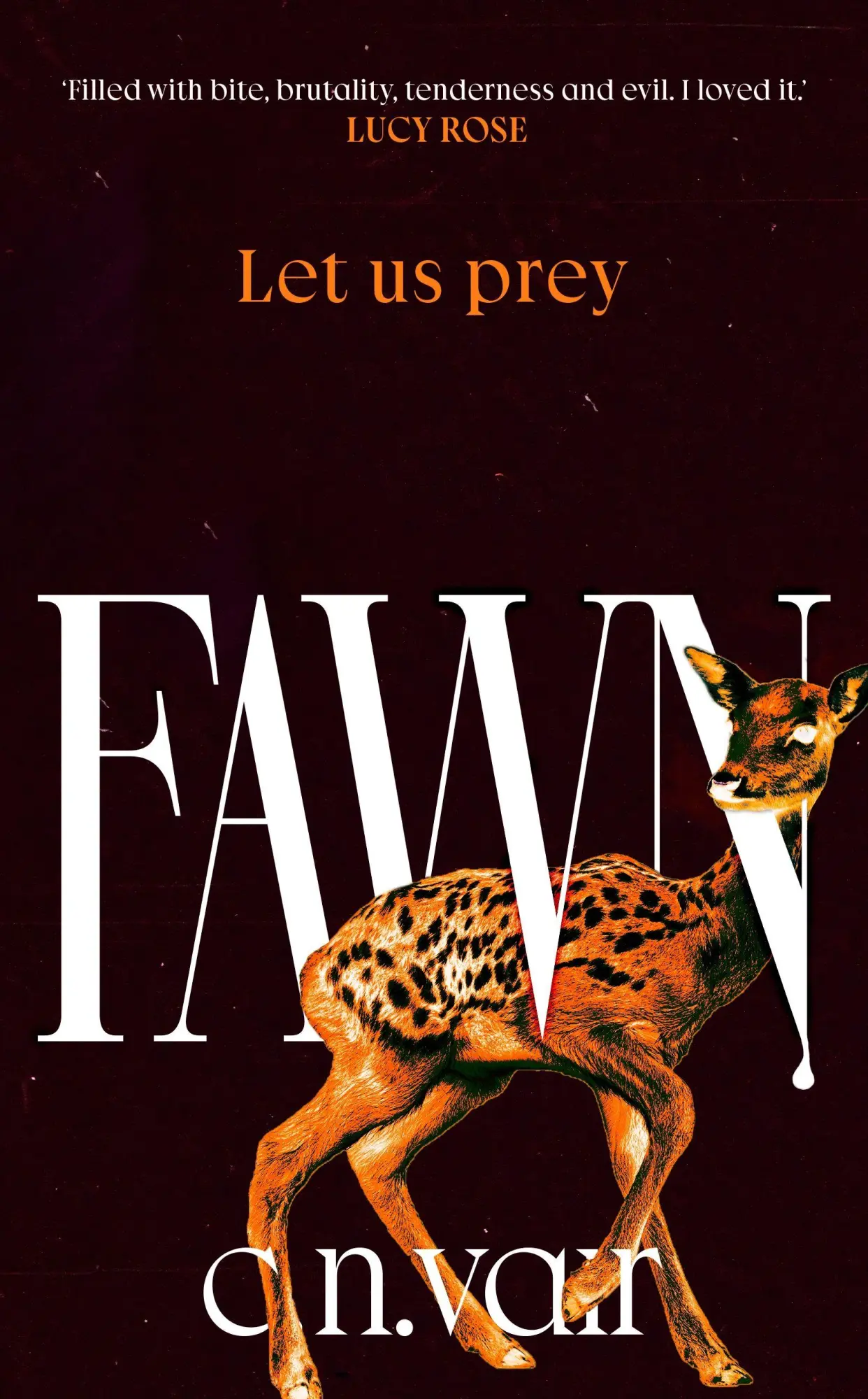 Transworld Publishers Ltd Fawn