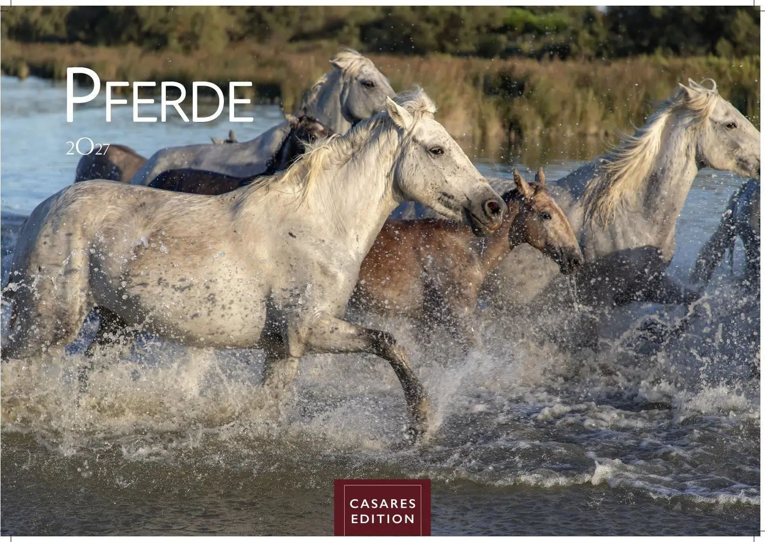 Cover: 9781835248805 | Pferde Kalender 2027 - Wandkalender Fotokalender Tierkalender...