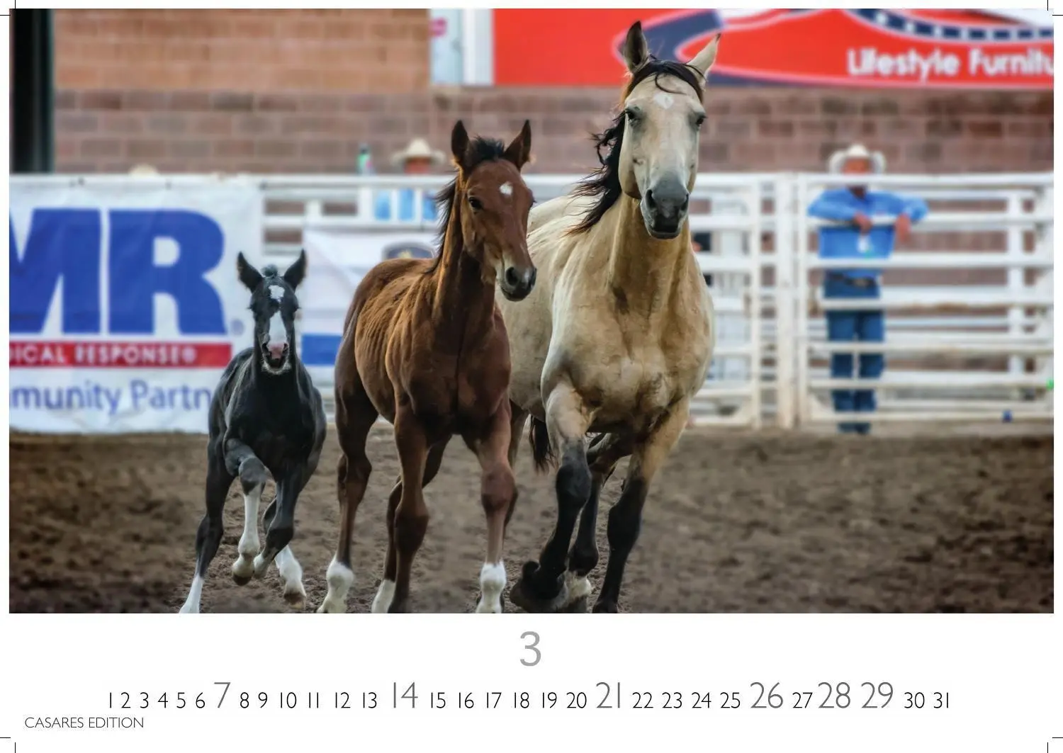 Bild: 9781835248805 | Pferde Kalender 2027 - Wandkalender Fotokalender Tierkalender...