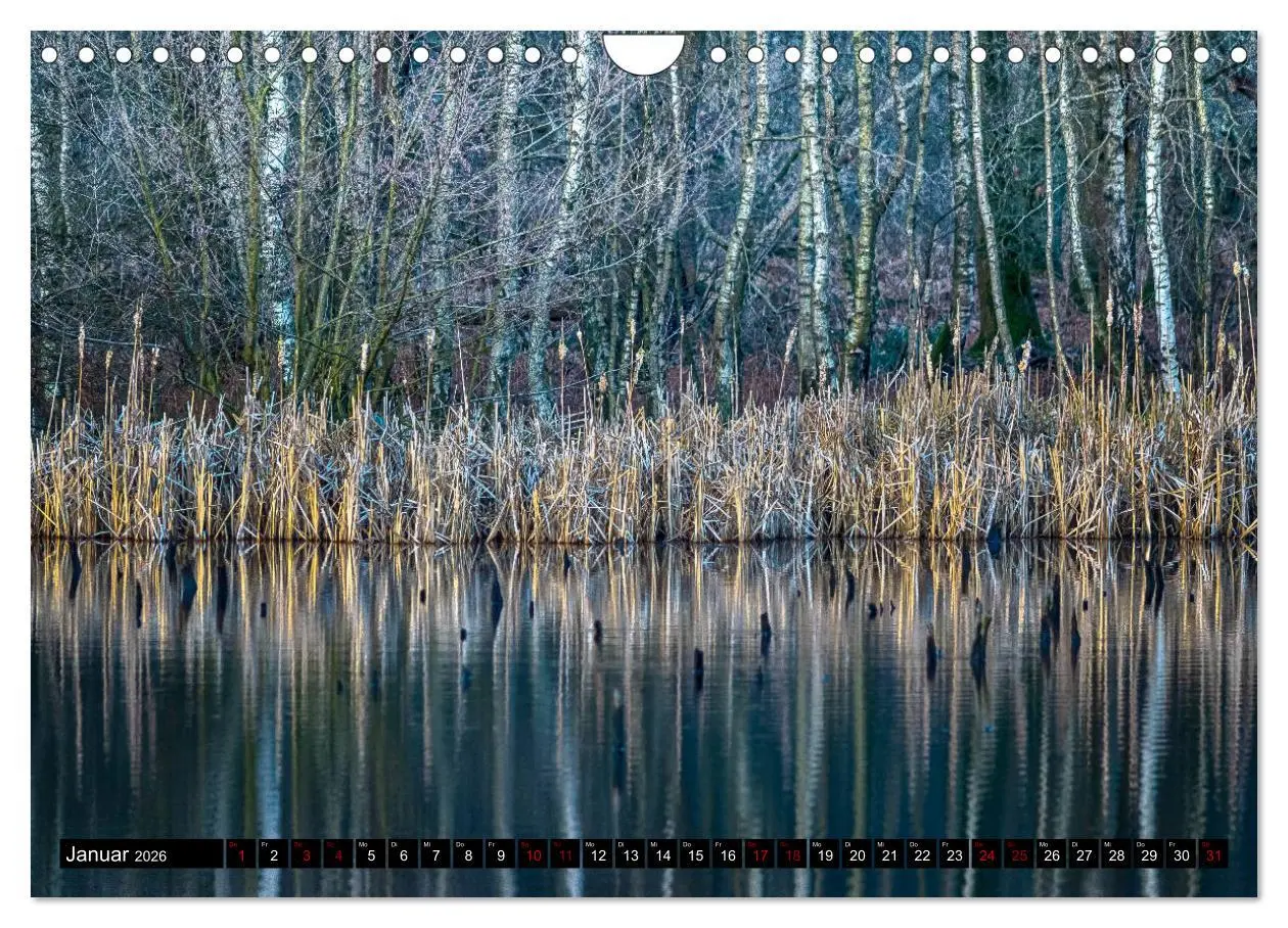 Bild: 9783457868805 | Bottrops schöne Flecken (Wandkalender 2026 DIN A4 quer), CALVENDO...