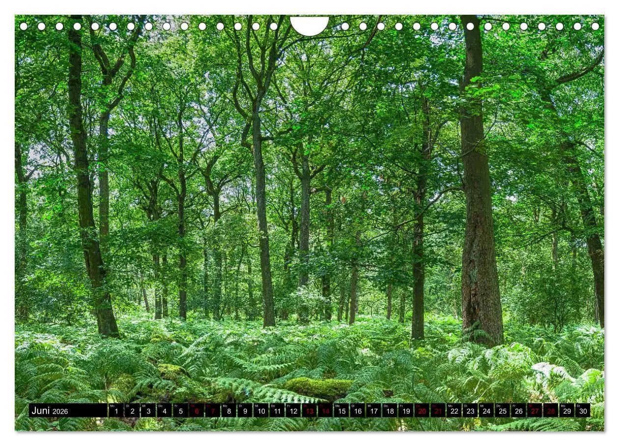 Bild: 9783457868805 | Bottrops schöne Flecken (Wandkalender 2026 DIN A4 quer), CALVENDO...